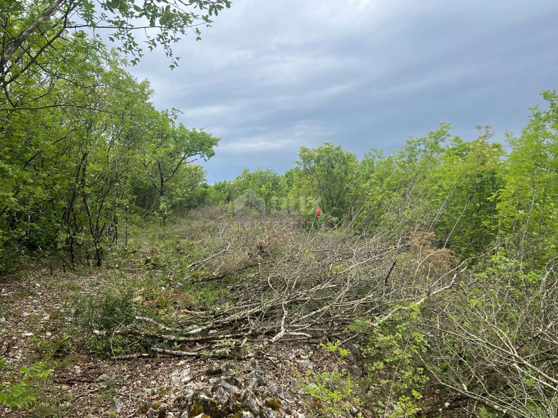 Land in Labin, Istarska Zupanija 12612637