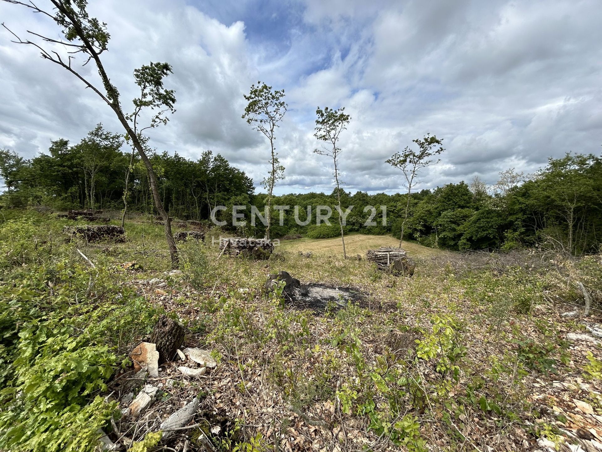 Terre dans Sveti Lovrec Pazenaticki, Istarska Zupanija 12616651