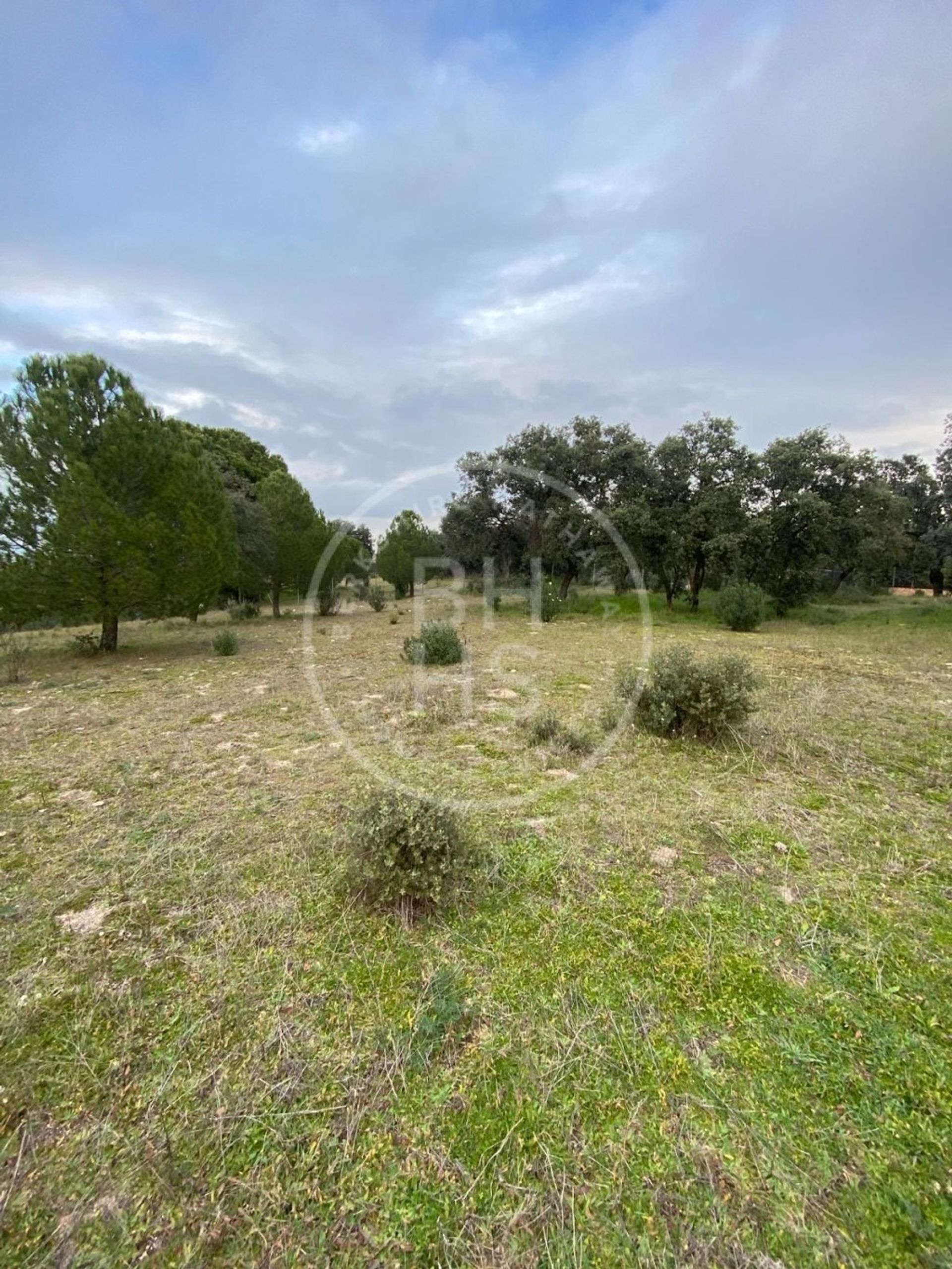 Land in San Agustin de Guadalix, Madrid 12622621