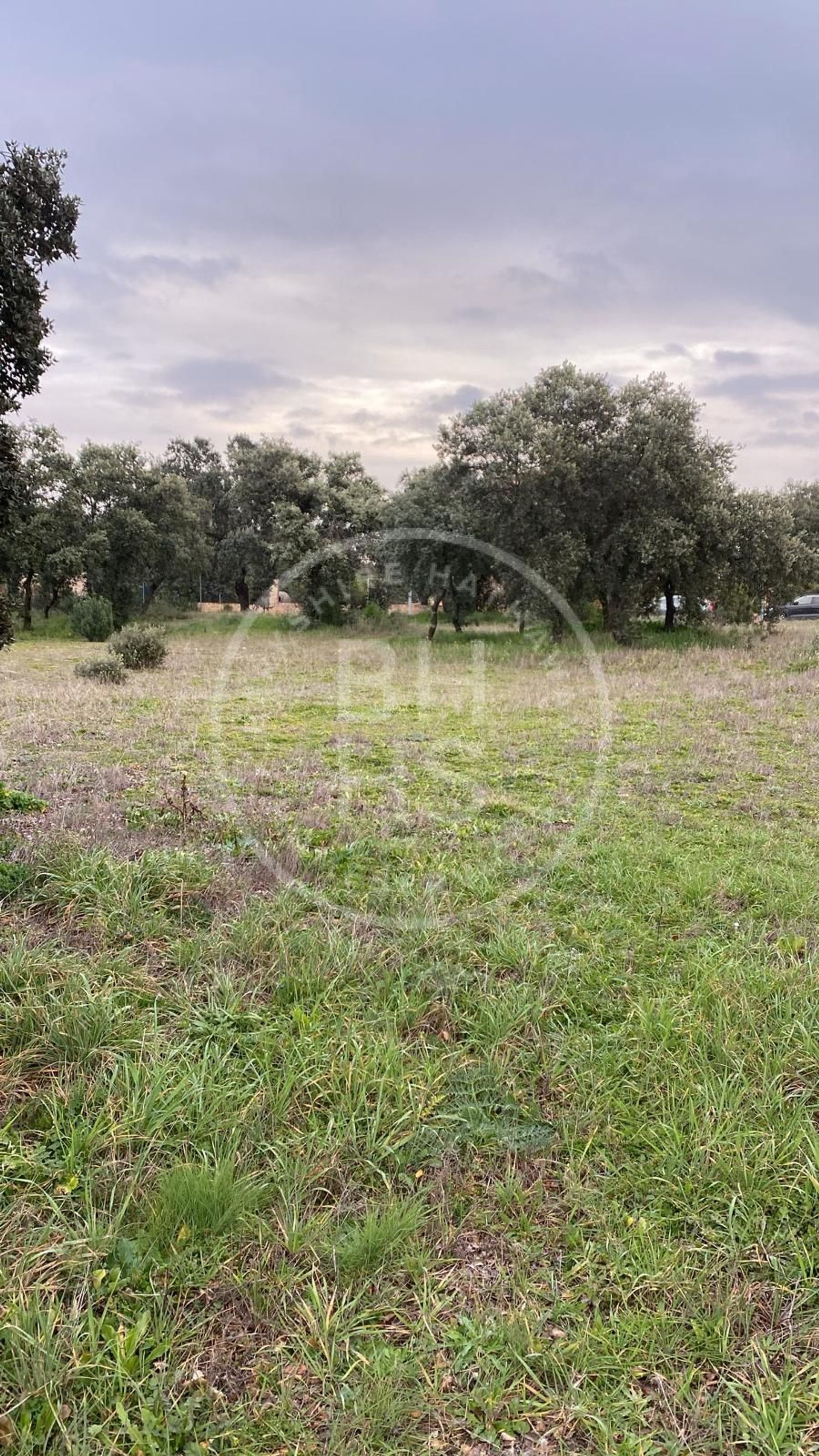 Land in San Agustin de Guadalix, Madrid 12622621