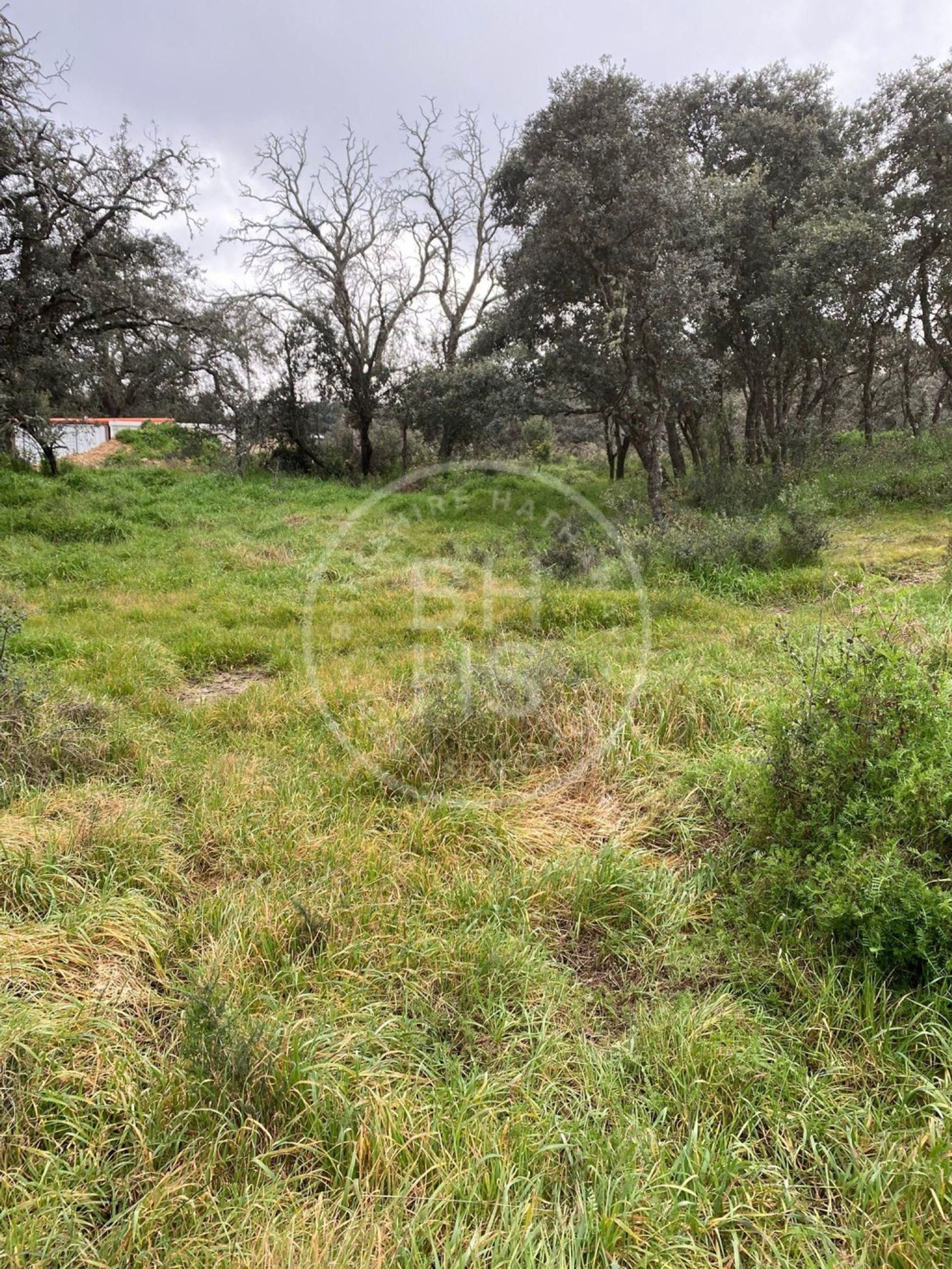 Land in San Agustin de Guadalix, Madrid 12622626