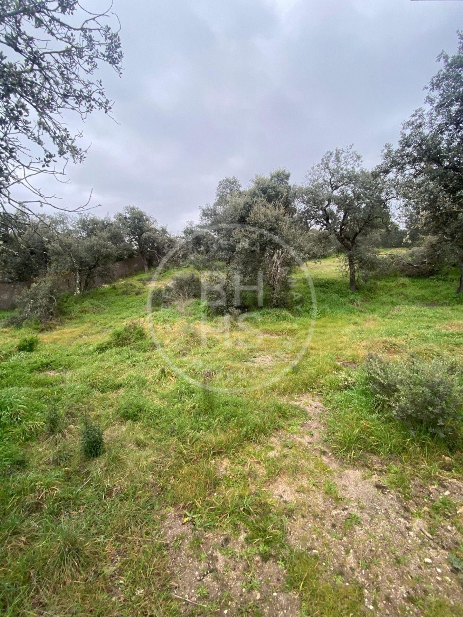 Land in San Agustin de Guadalix, Madrid 12622626