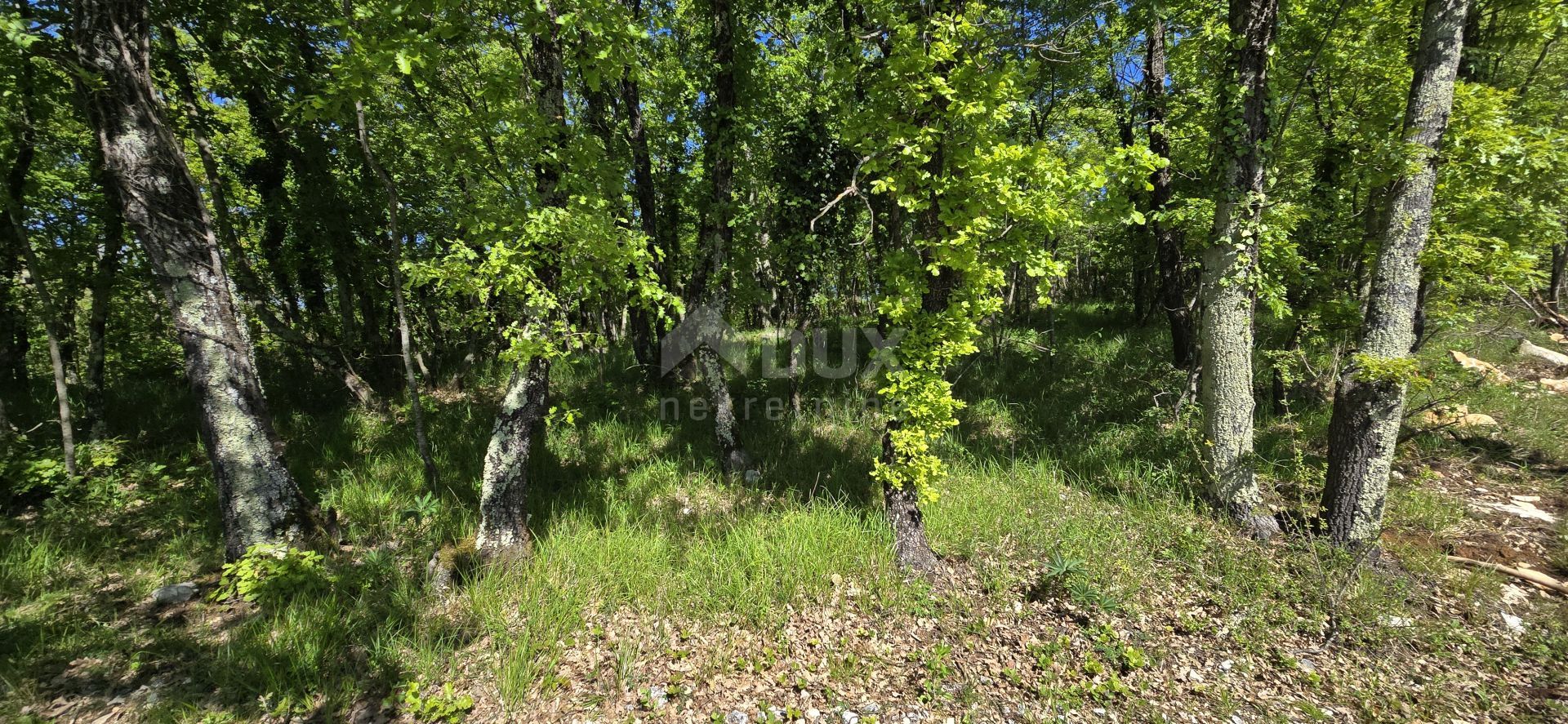 Land in Pićan, Istria County 12623606