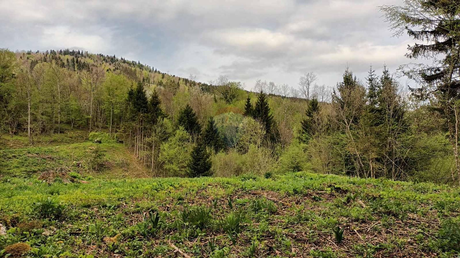 Terre dans Vujnovići, Primorsko-goranska županija 12624322