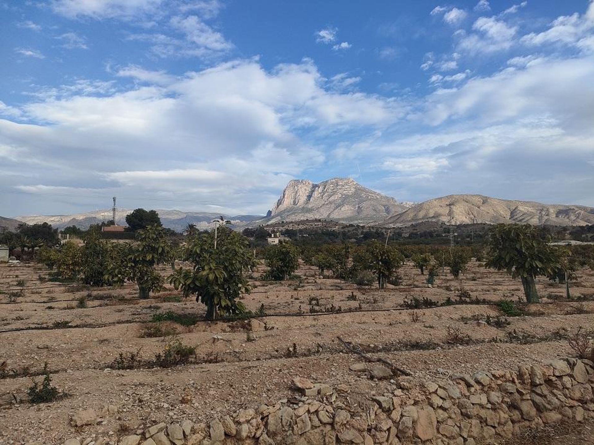 Rumah di La Vila Joiosa, Comunidad Valenciana 12624349