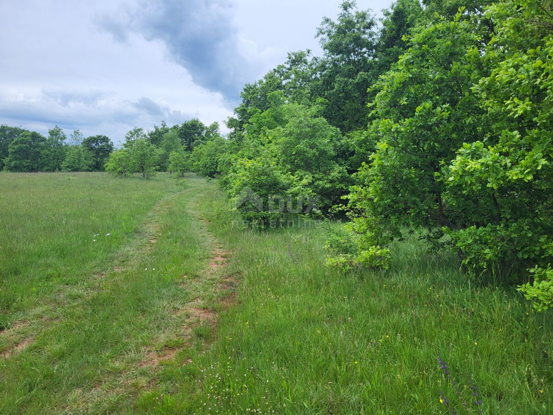 Land in Labin, Istarska Zupanija 12626168