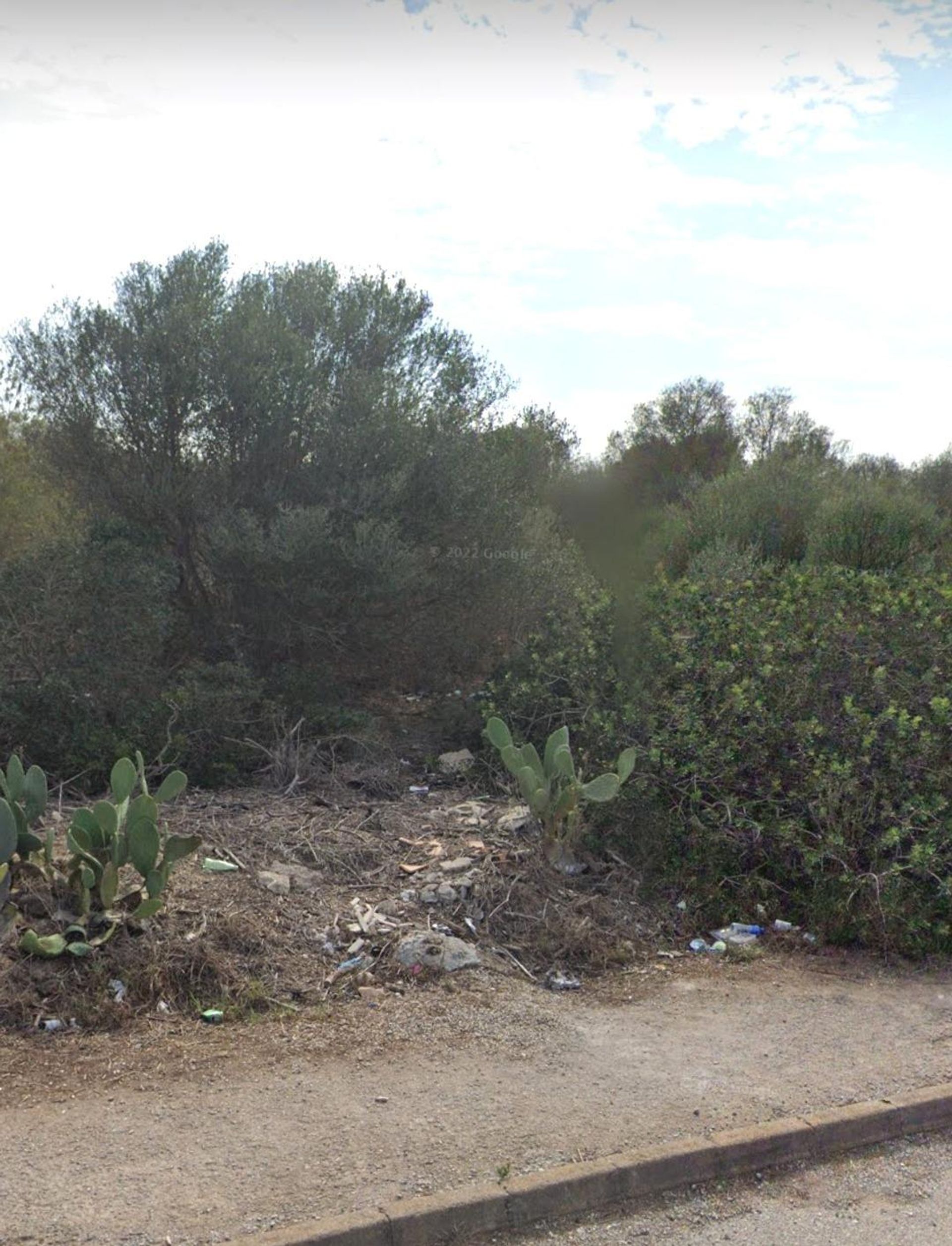 Land in Manacor, Illes Balears 12626565