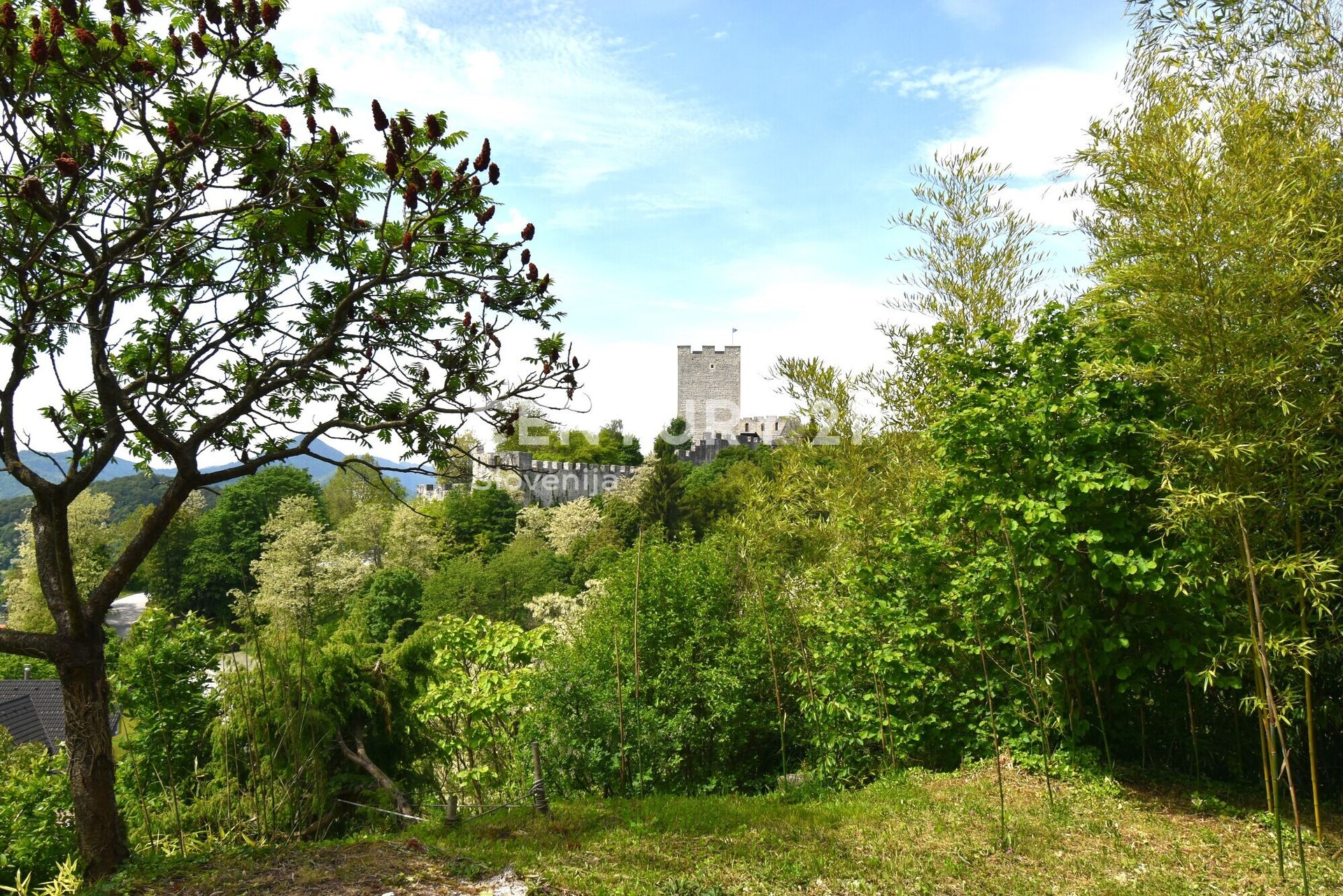 Terra no Zagorje, Zagorje ob Savi 12626830