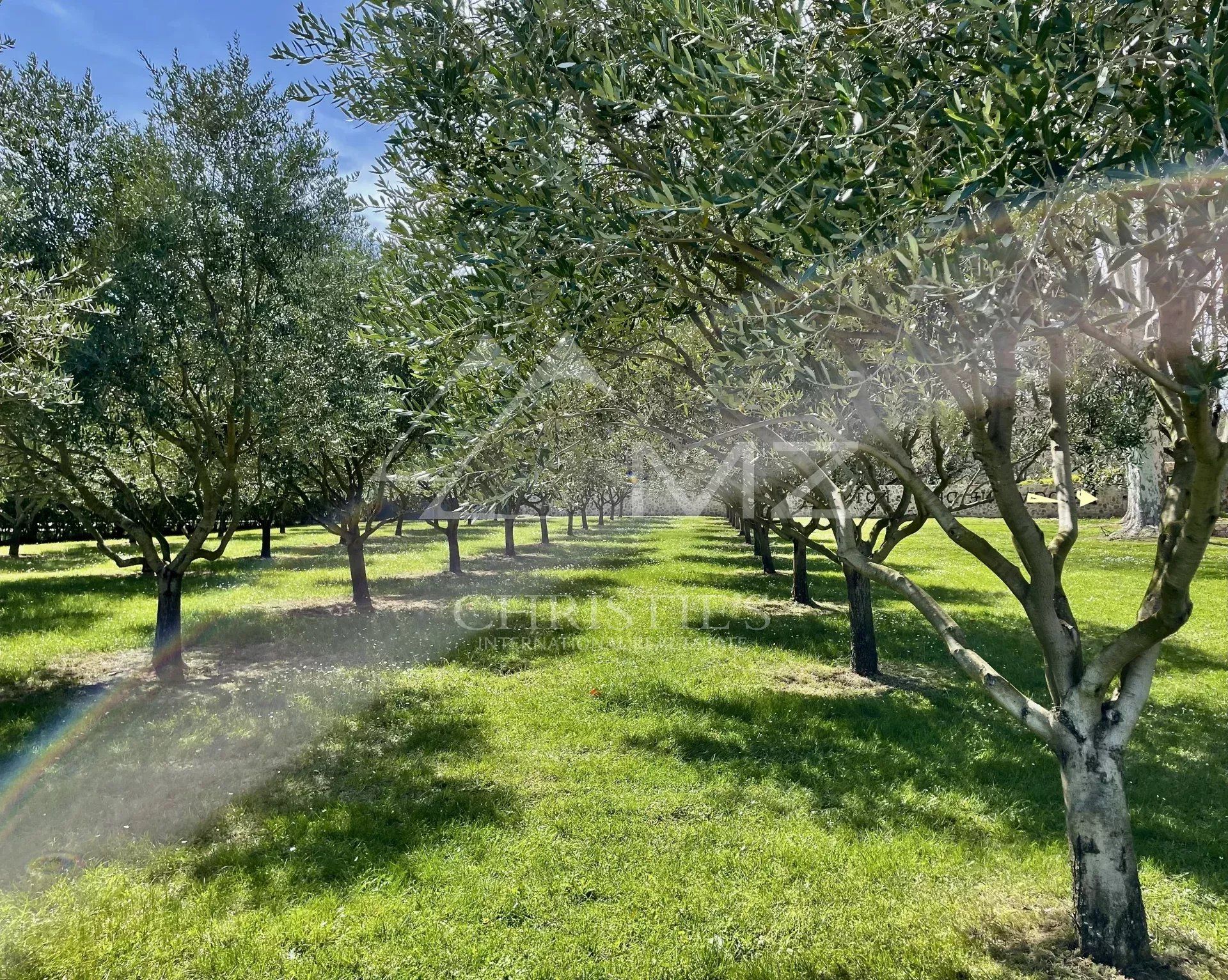 Muu sisään Tourtour, Provence-Alpes-Cote d'Azur 12628485