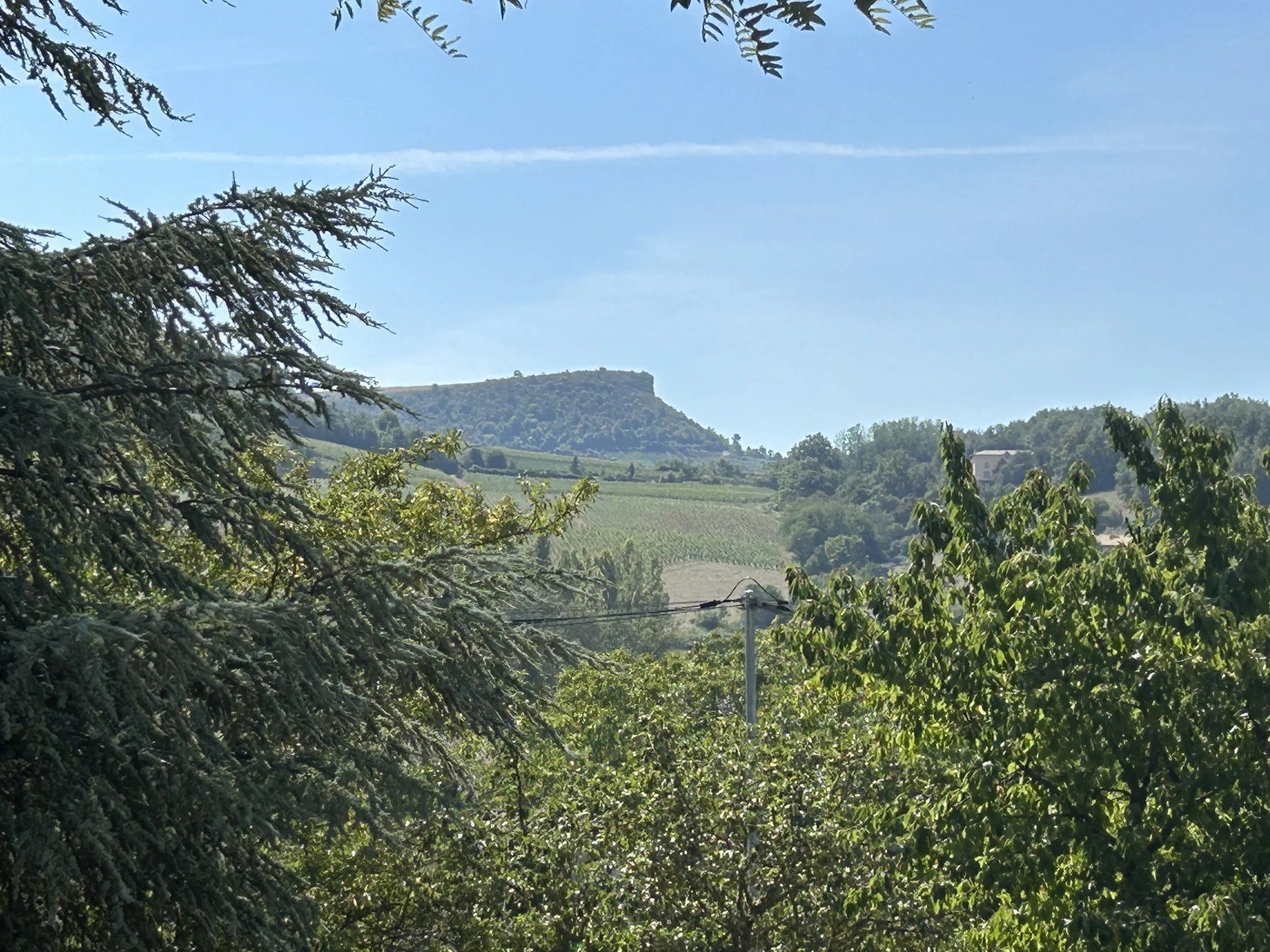 Kommerciel i Mâcon, Saône-et-Loire 12629097