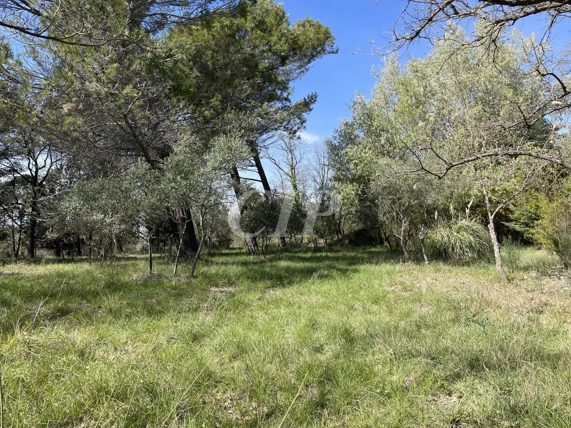 casa en Saint-Cannat, Bouches-du-Rhône 12629325