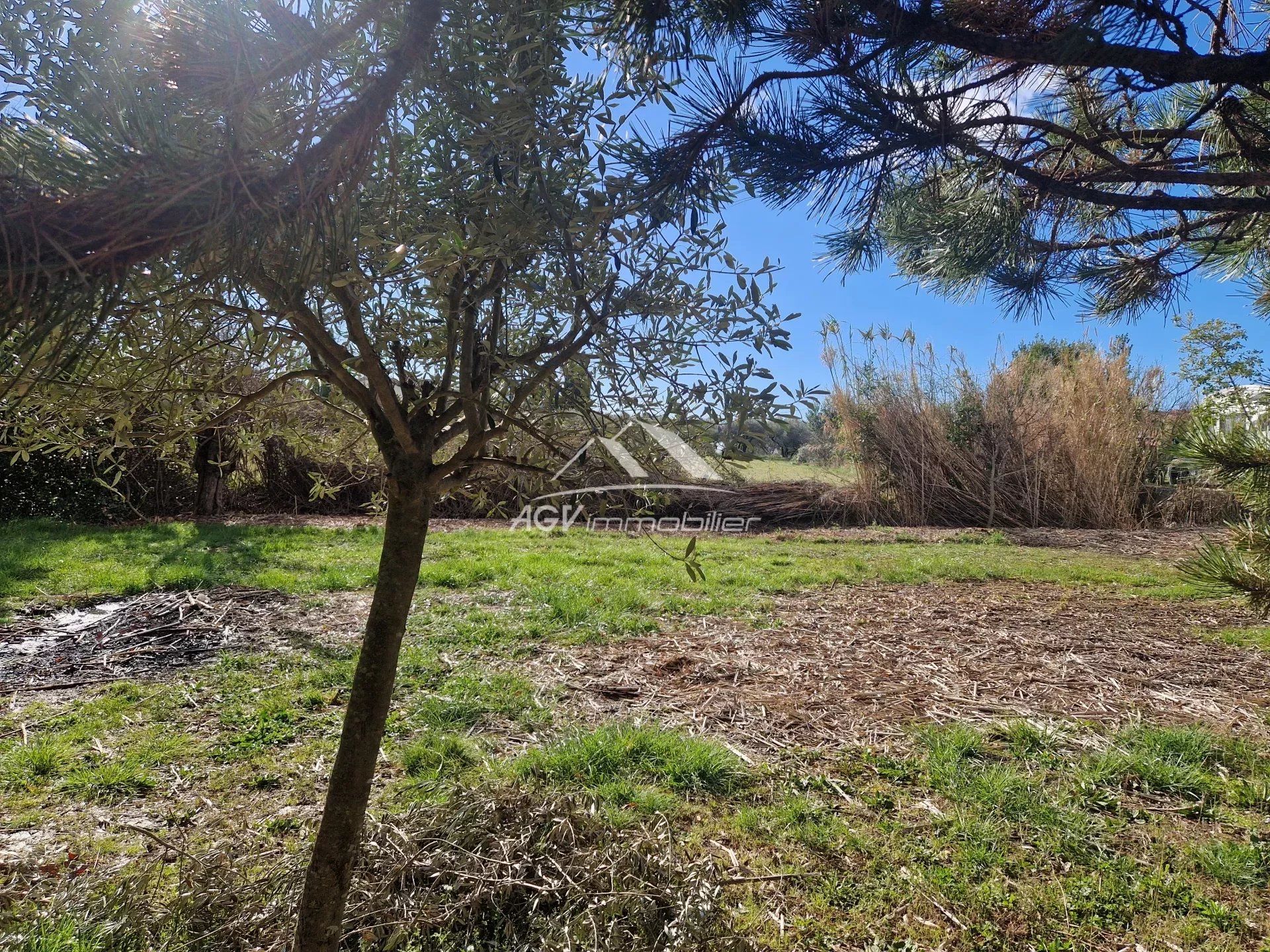 Terra no Ales, Occitanie 12629925