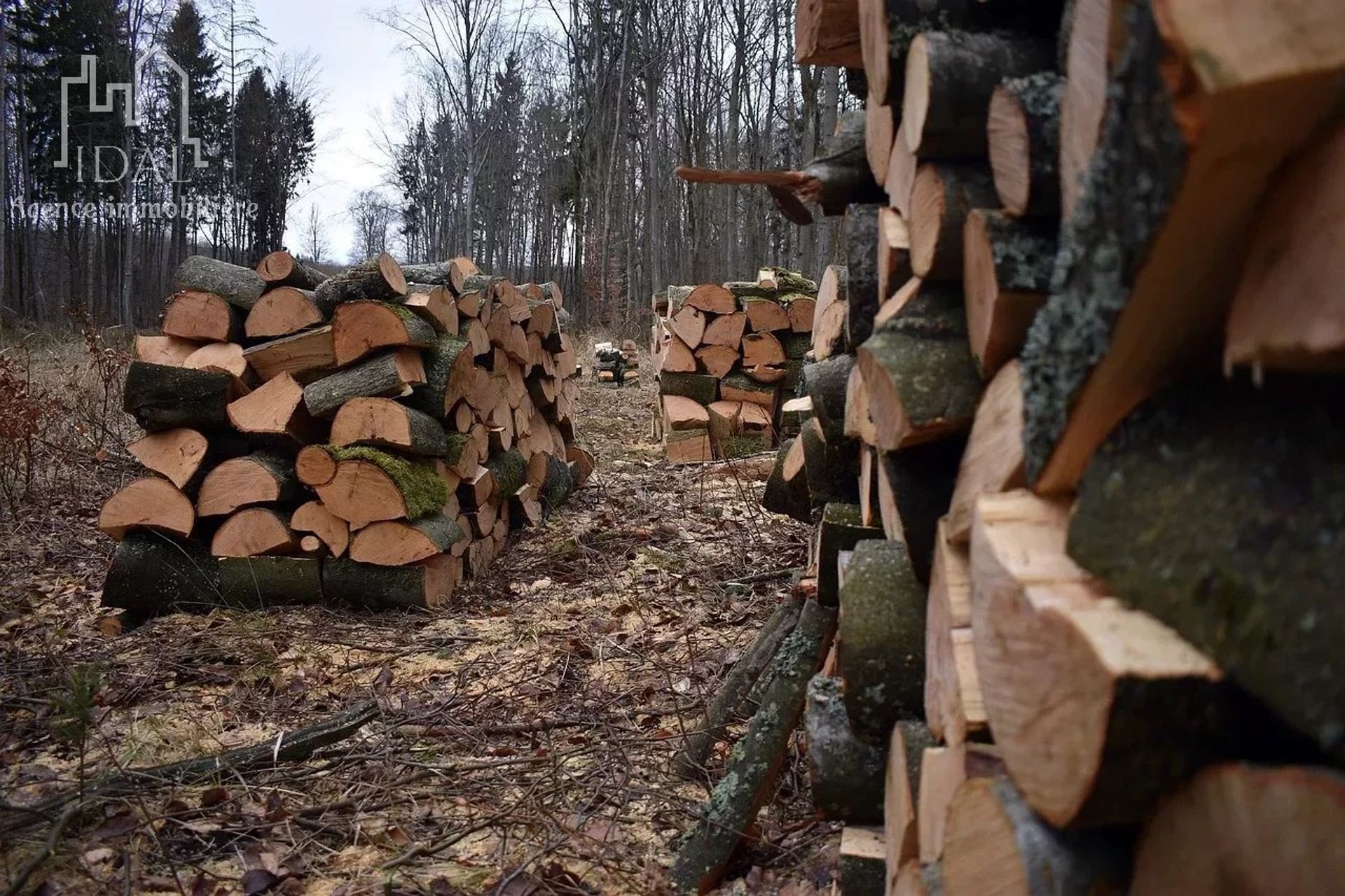 Земля в Ставки, Окситанія 12630019