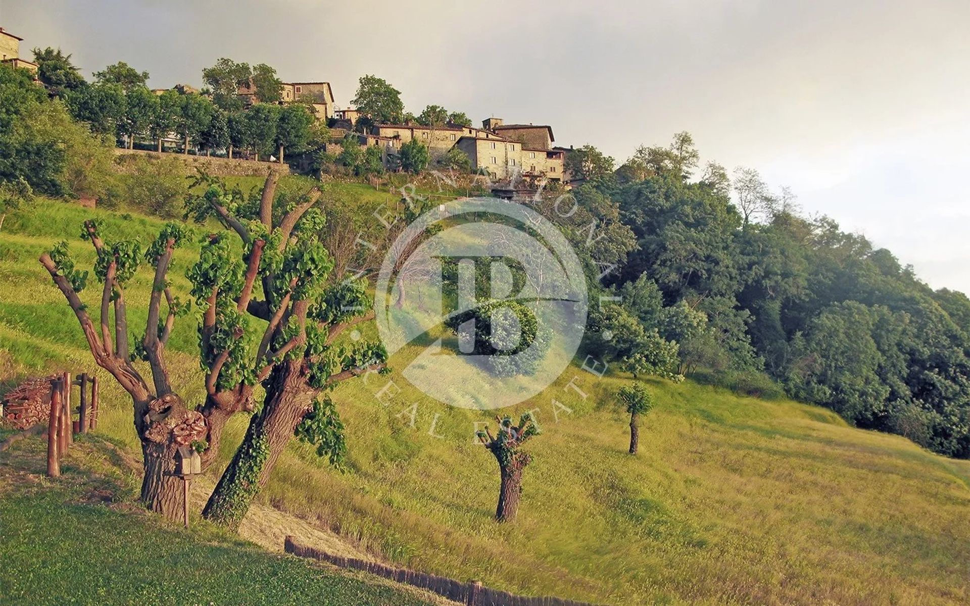 Huis in Castelnuovo di Garfagnana, Lucca 12630087