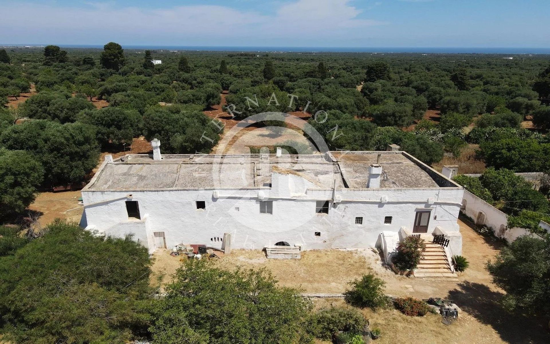 House in Fasano, Puglia 12630115