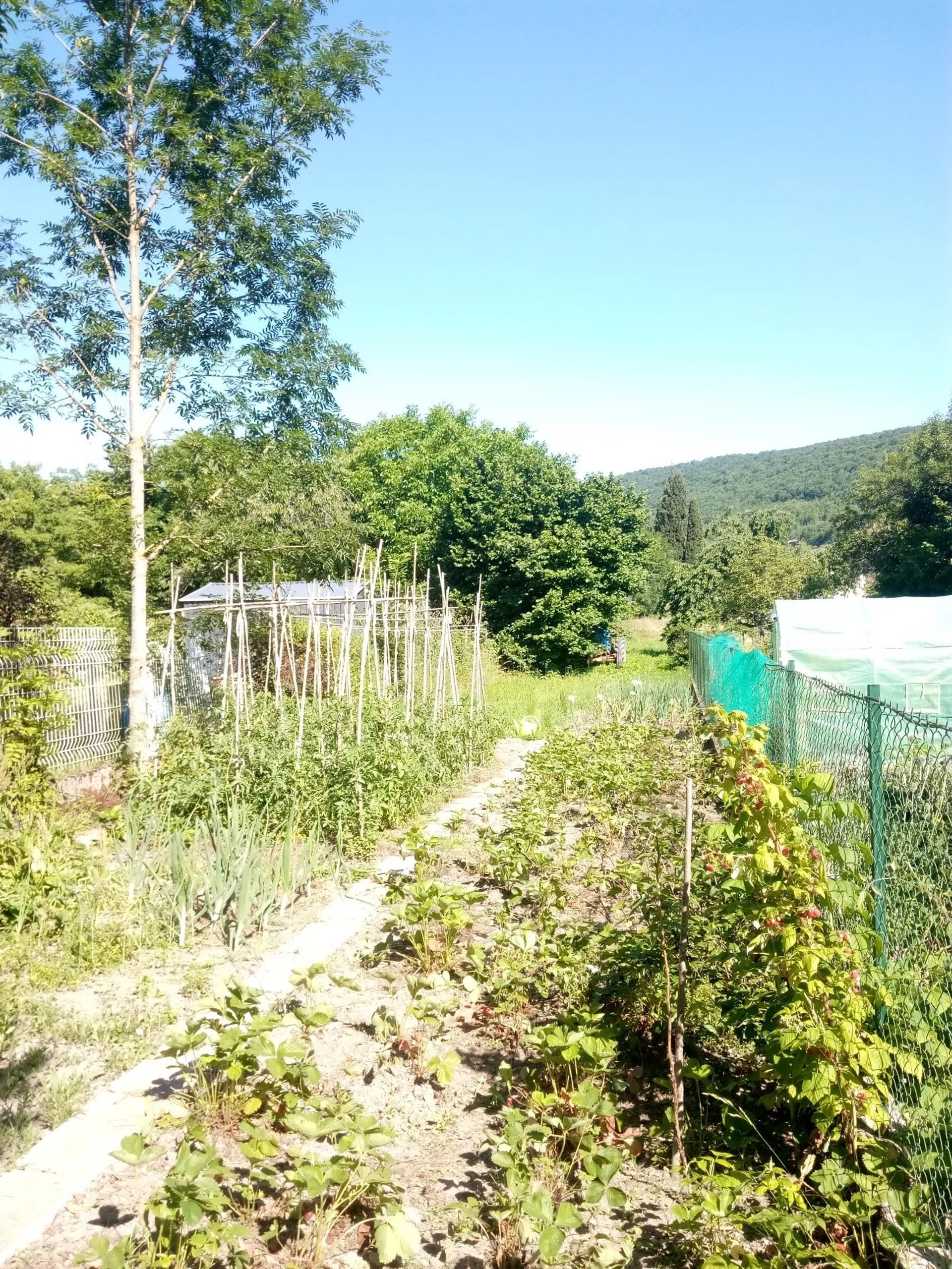 casa en Lavelanet, Occitanie 12630184