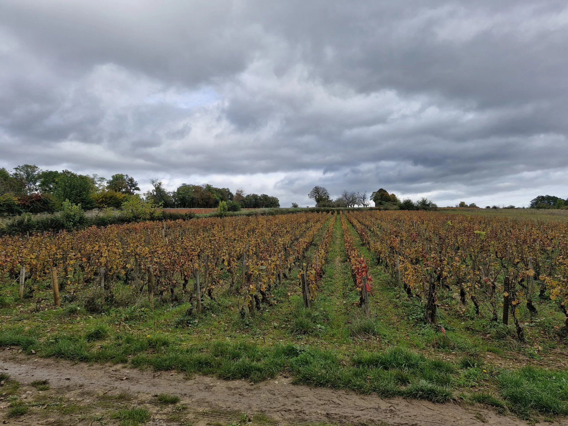 房子 在 Bouze-lès-Beaune, Côte-d'Or 12630357