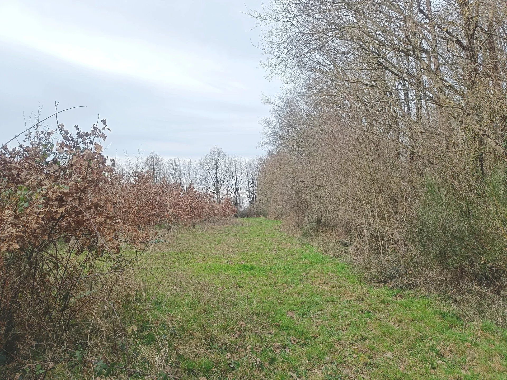 Haus im Boivre-la-Vallée, Vienne 12630579