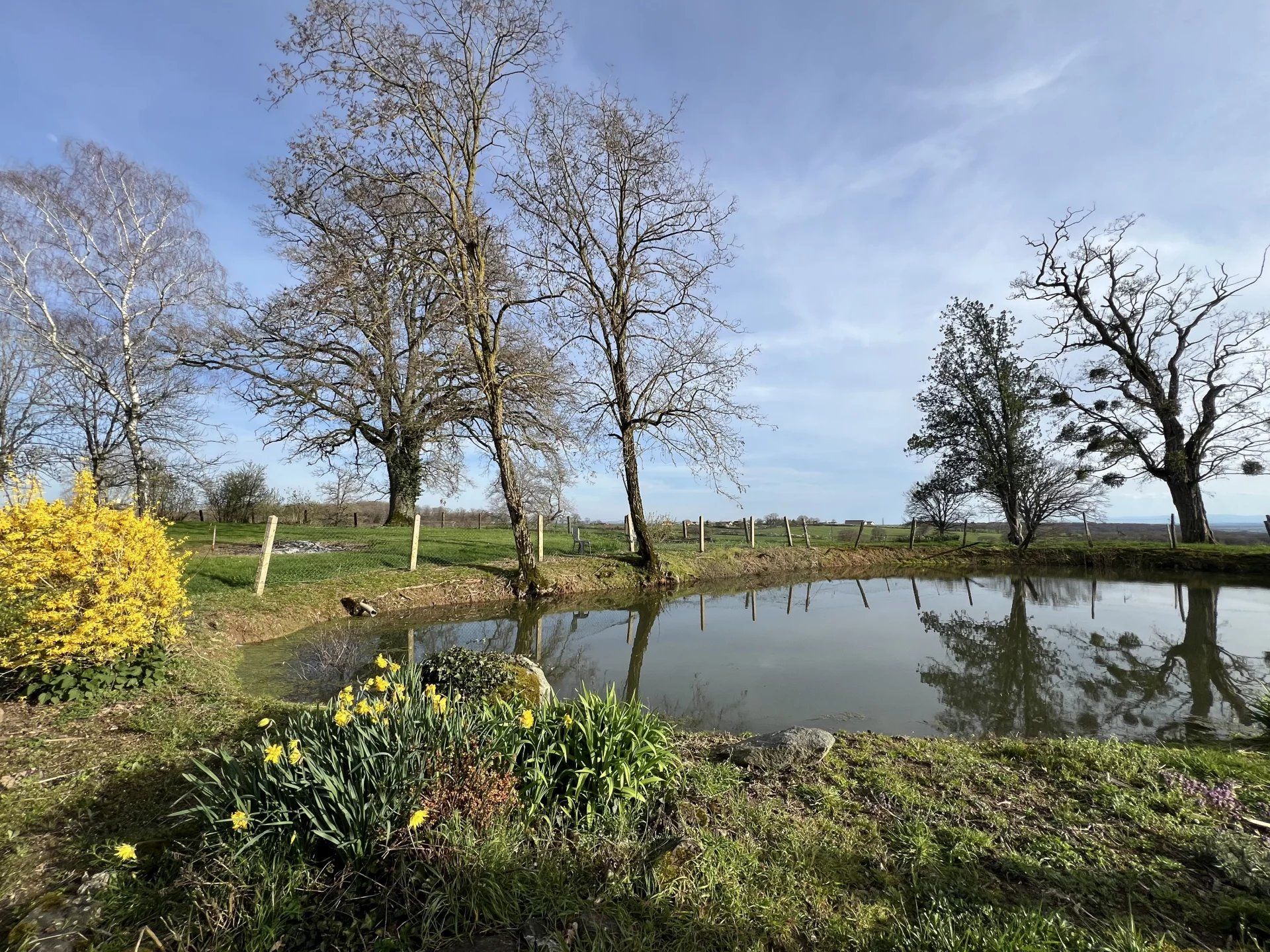 بيت في Perrigny-sur-Loire, Saône-et-Loire 12630886