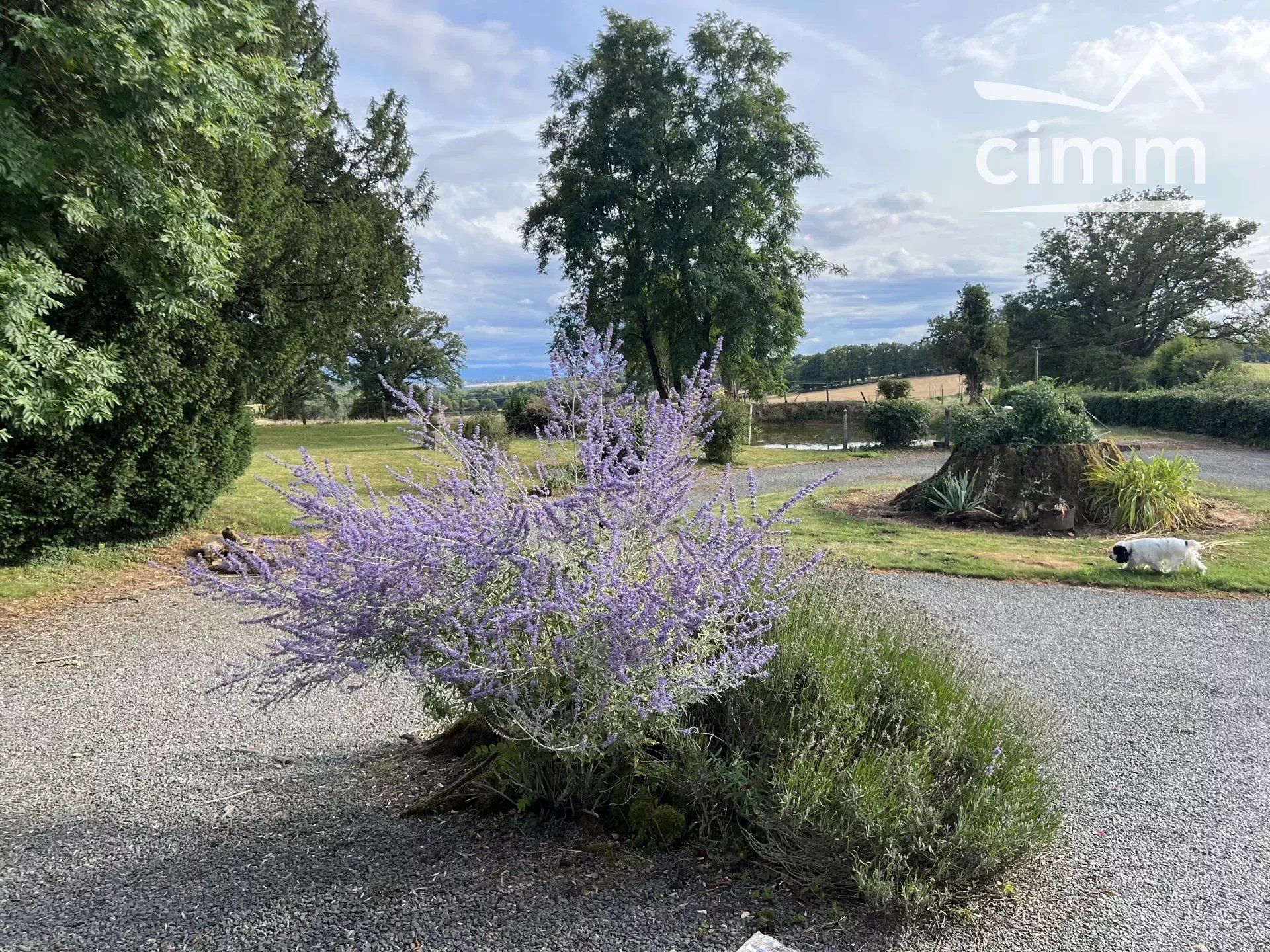 بيت في Perrigny-sur-Loire, Saône-et-Loire 12630886