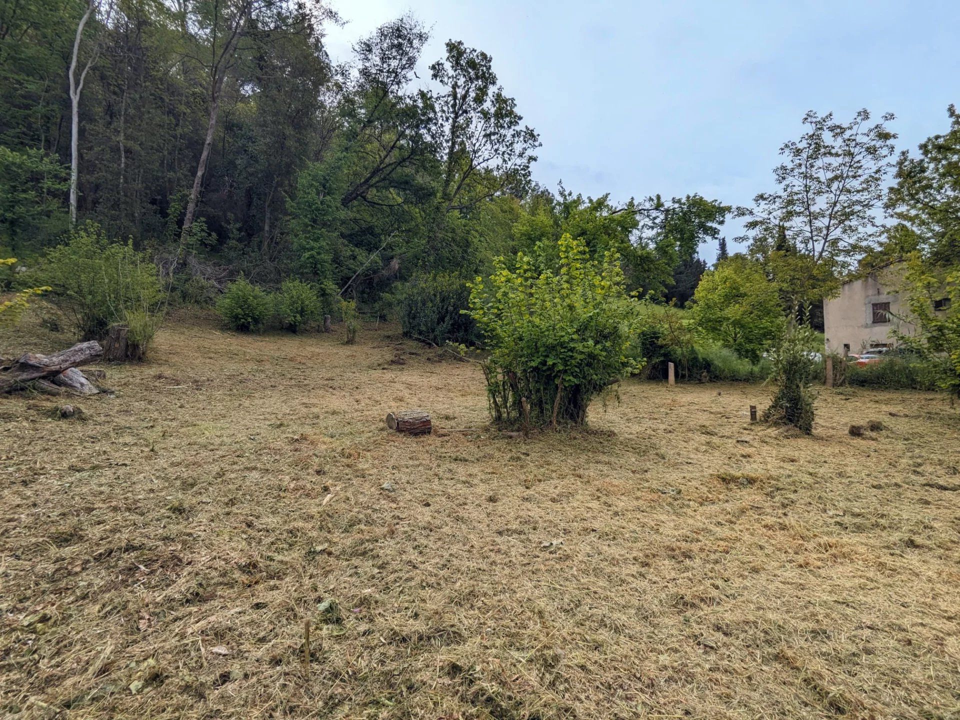 Terre dans Saint Paul de Vence, Provence-Alpes-Côte d'Azur 12631019