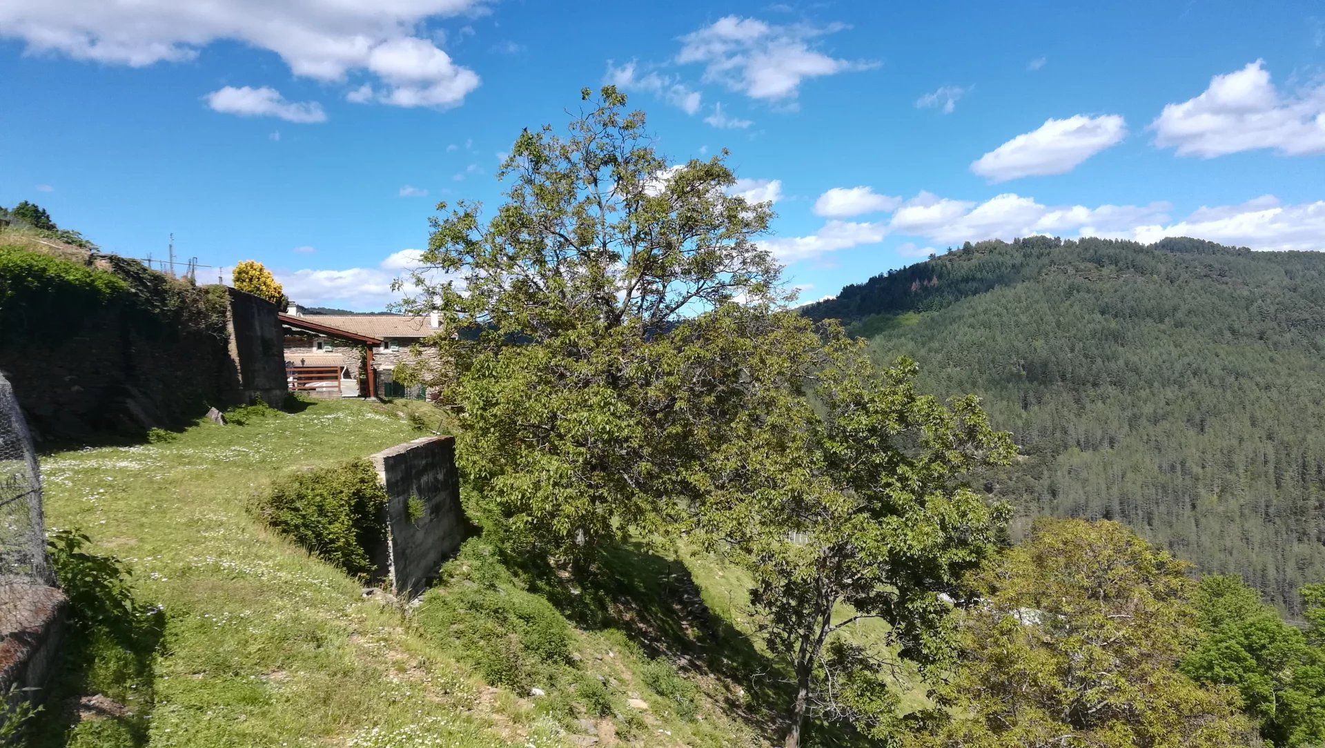 집 에 Le Collet-de-Dèze, Lozère 12631044