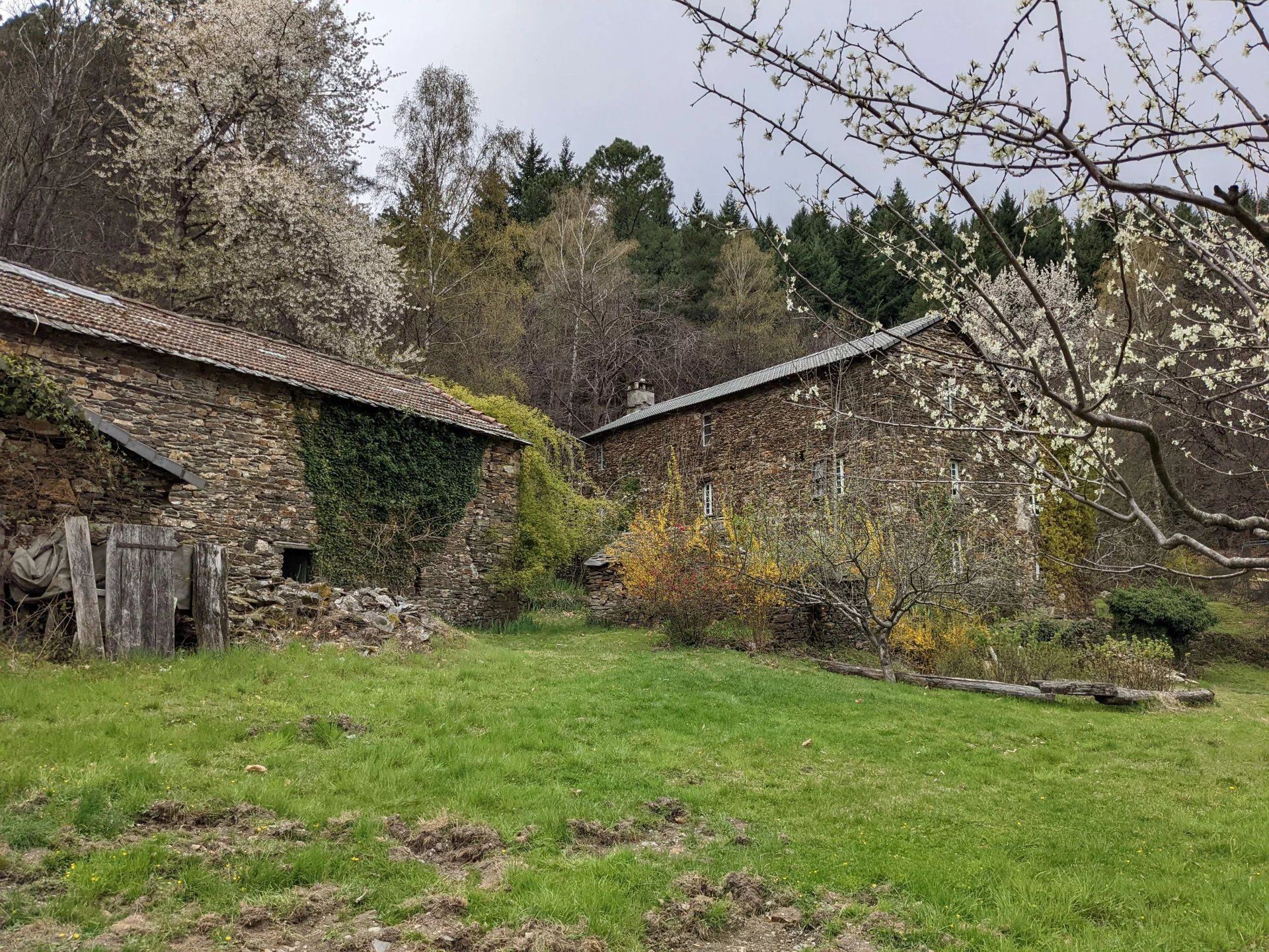 σπίτι σε Moissac-Vallée-Française, Lozère 12631056