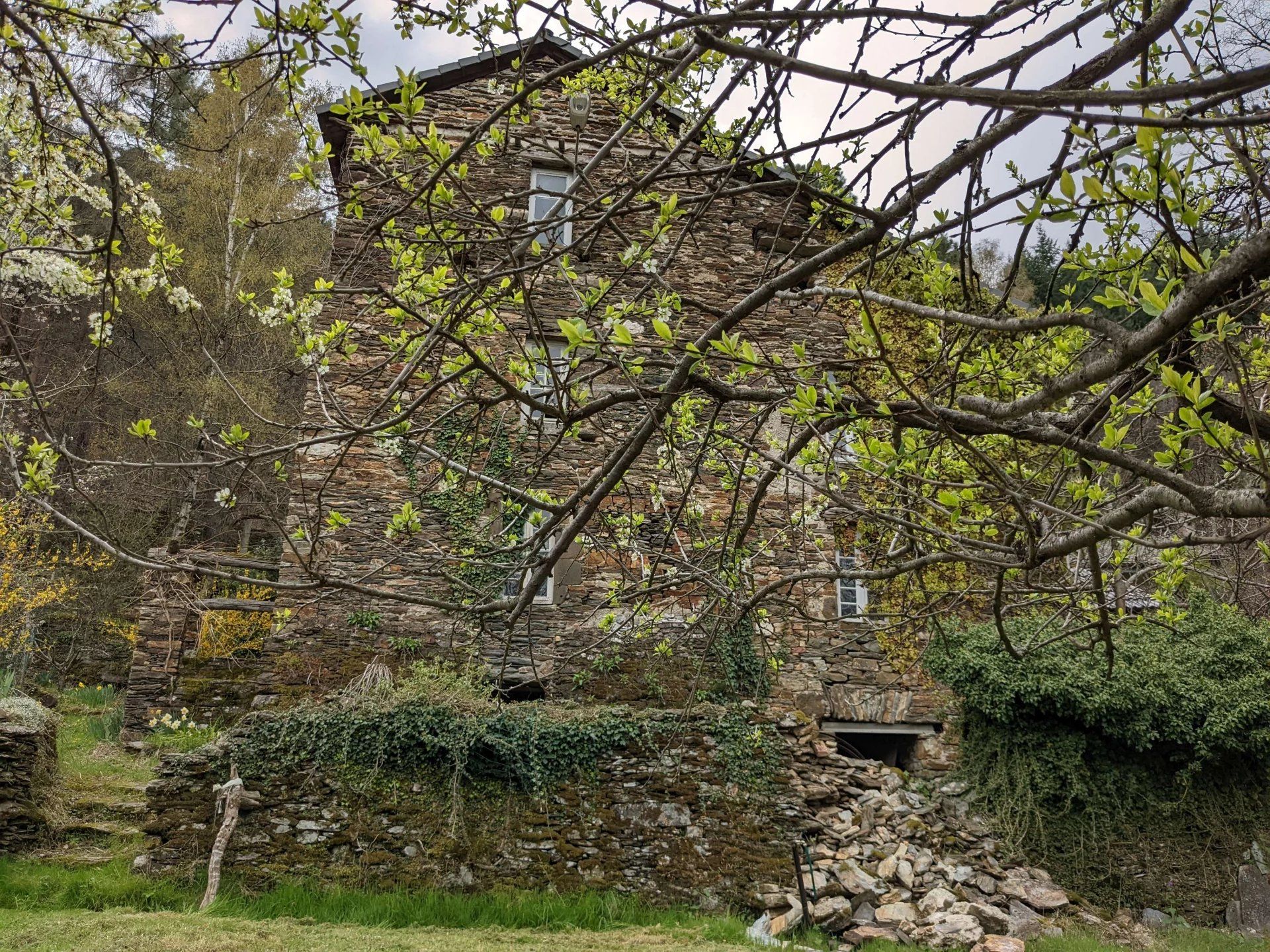 rumah dalam Moissac-Vallée-Française, Lozère 12631056