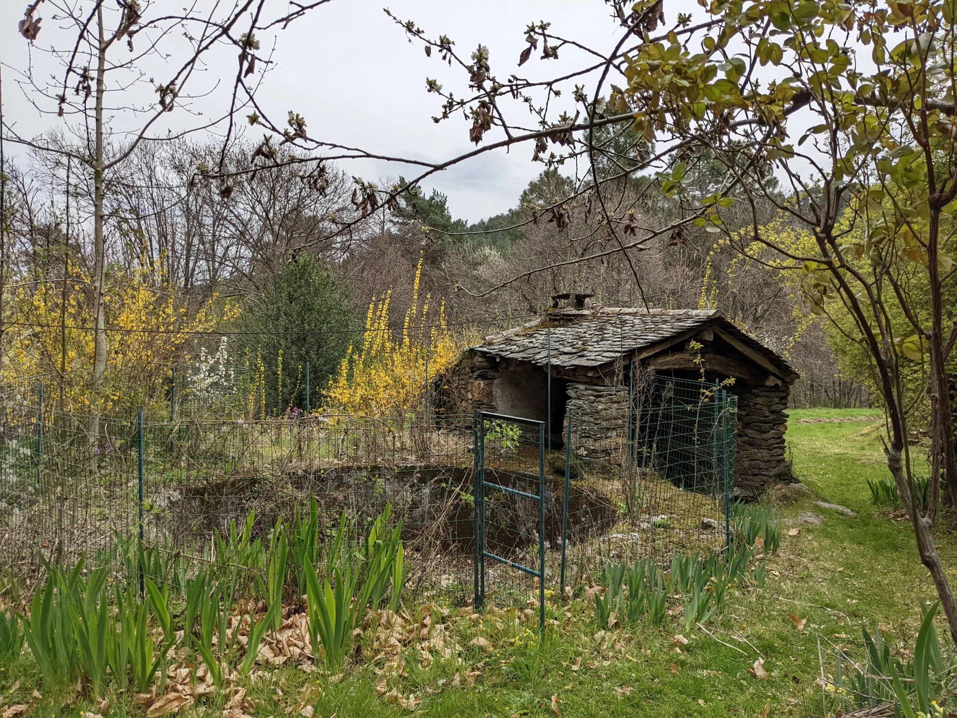 집 에 Moissac-Vallée-Française, Lozère 12631056