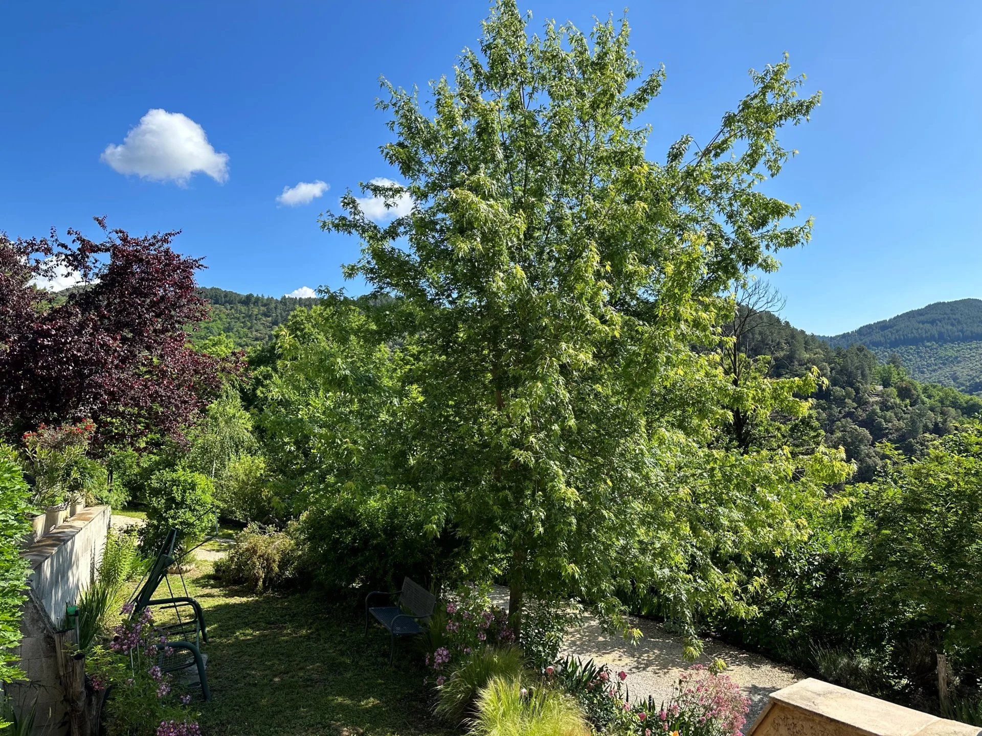 casa no Saint-Privat-de-Vallongue, Lozère 12631068