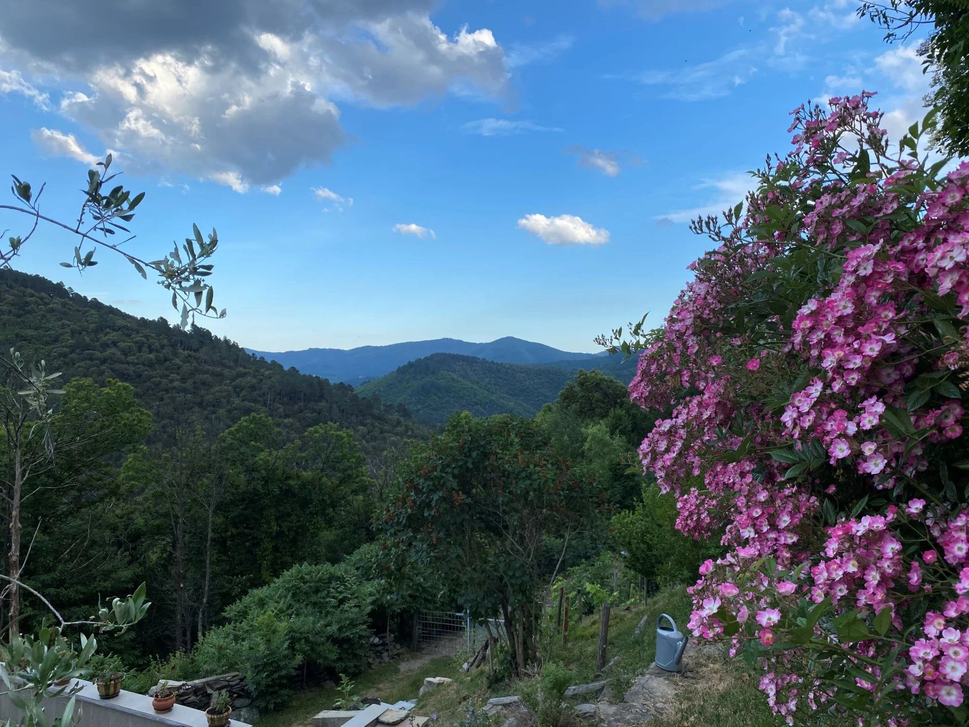 σπίτι σε Saint-Privat-de-Vallongue, Lozère 12631068