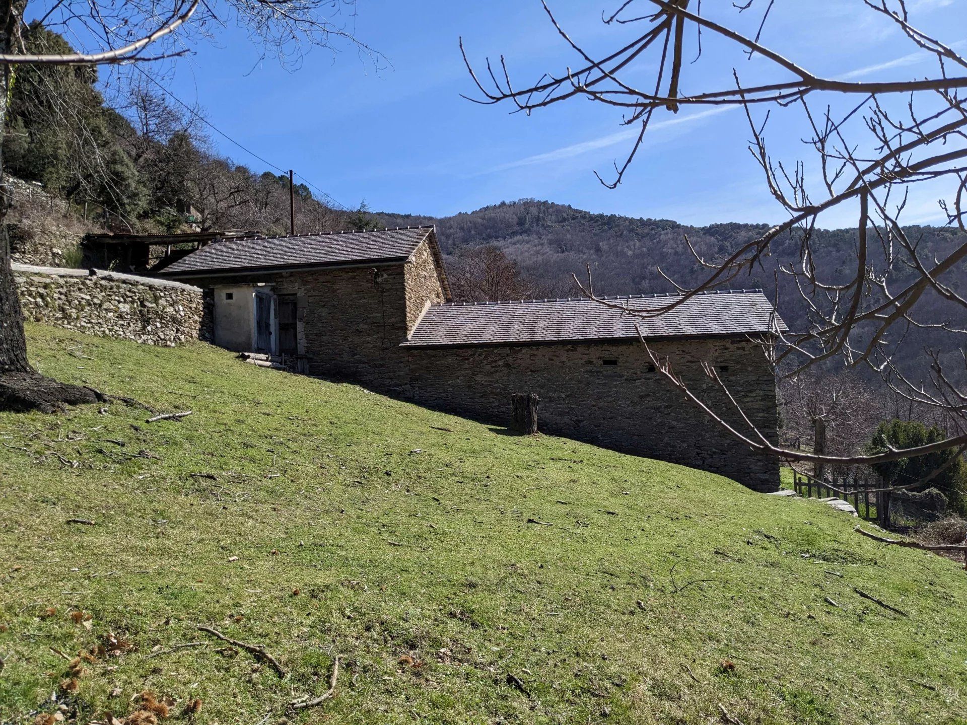 Hus i Saint-Germain-de-Calberte, Occitanie 12631084