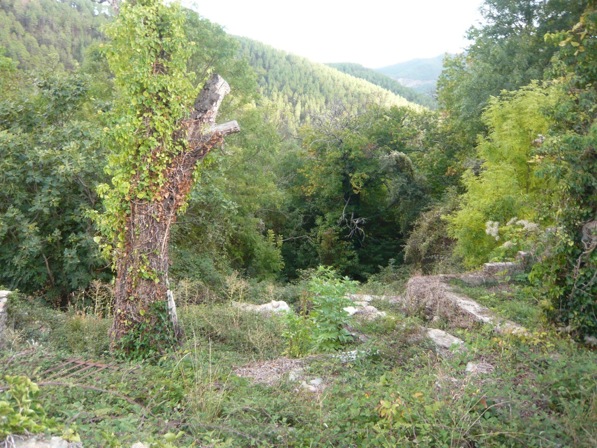 Inny w Le Collet-de-Dèze, Lozère 12631087