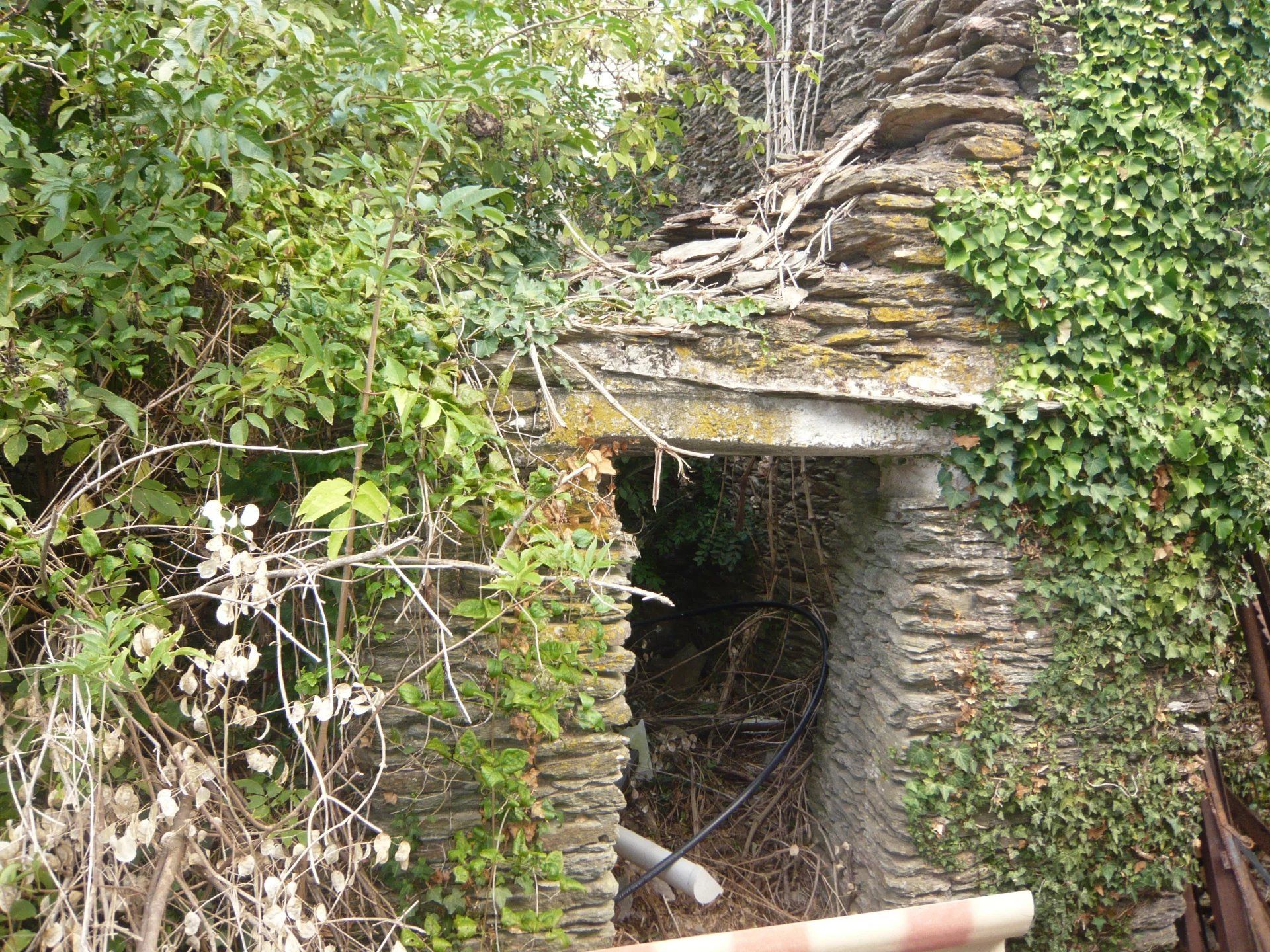 Lain di Le Collet-de-Dèze, Lozère 12631087