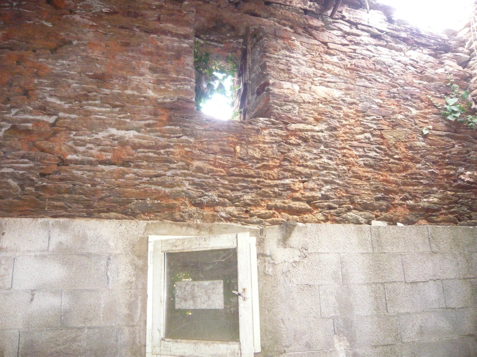 Lain di Le Collet-de-Dèze, Lozère 12631087