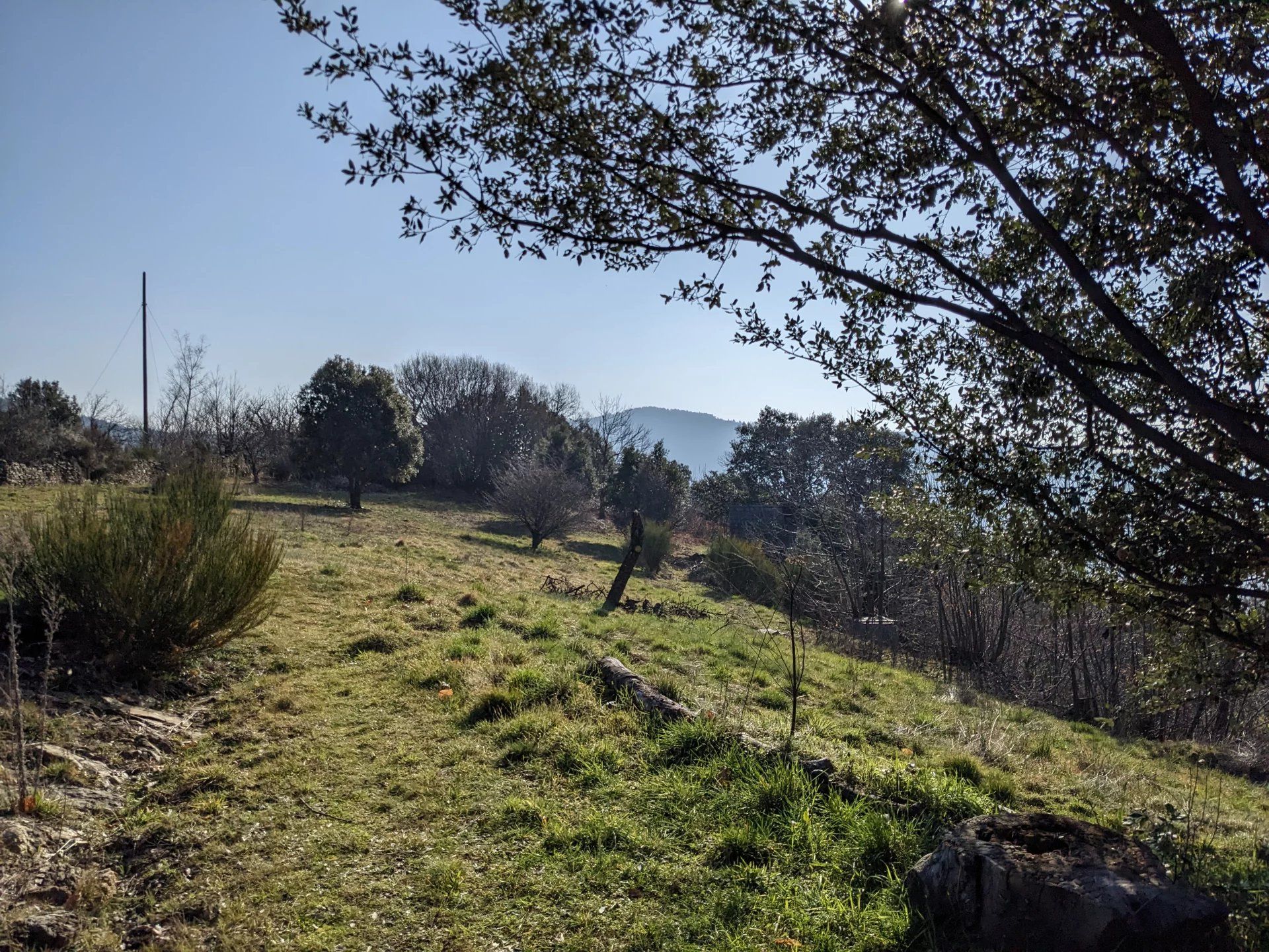 房子 在 Ventalon en Cévennes, Lozère 12631088