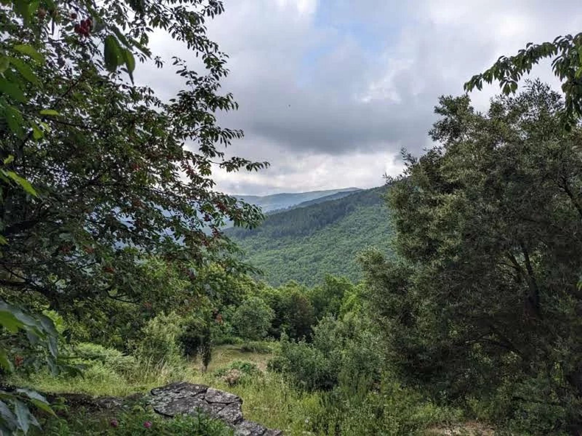 집 에 Ventalon en Cévennes, Lozère 12631088