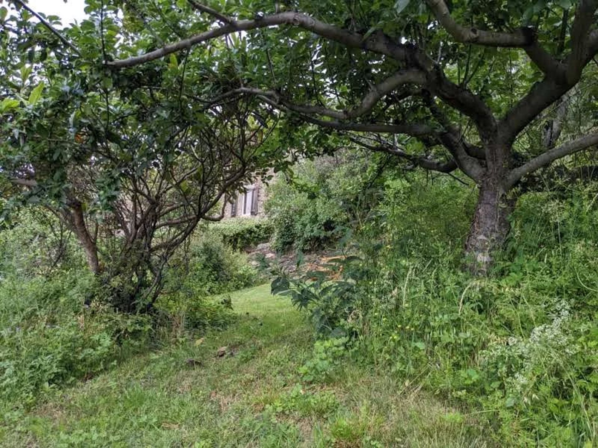 rumah dalam Ventalon en Cévennes, Lozère 12631088