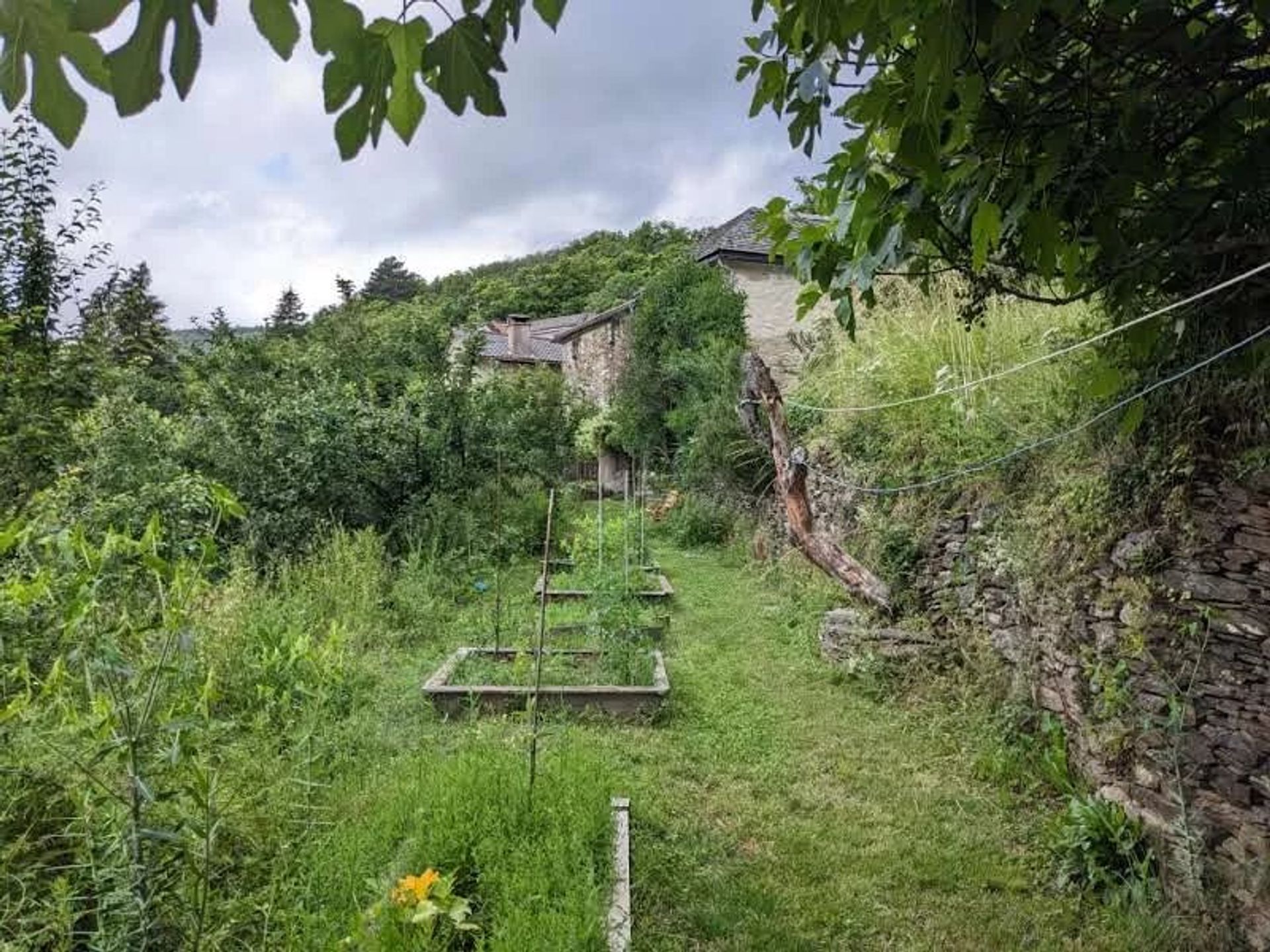 Будинок в Ventalon en Cévennes, Lozère 12631088