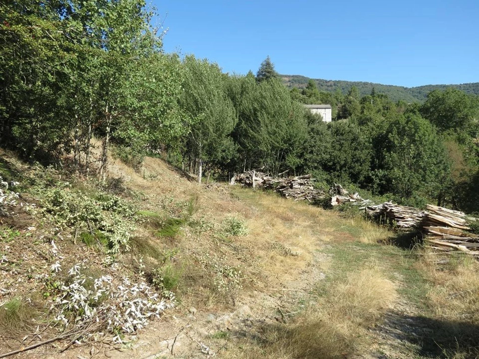 Land in Saint-André-de-Lancize, Lozère 12631091