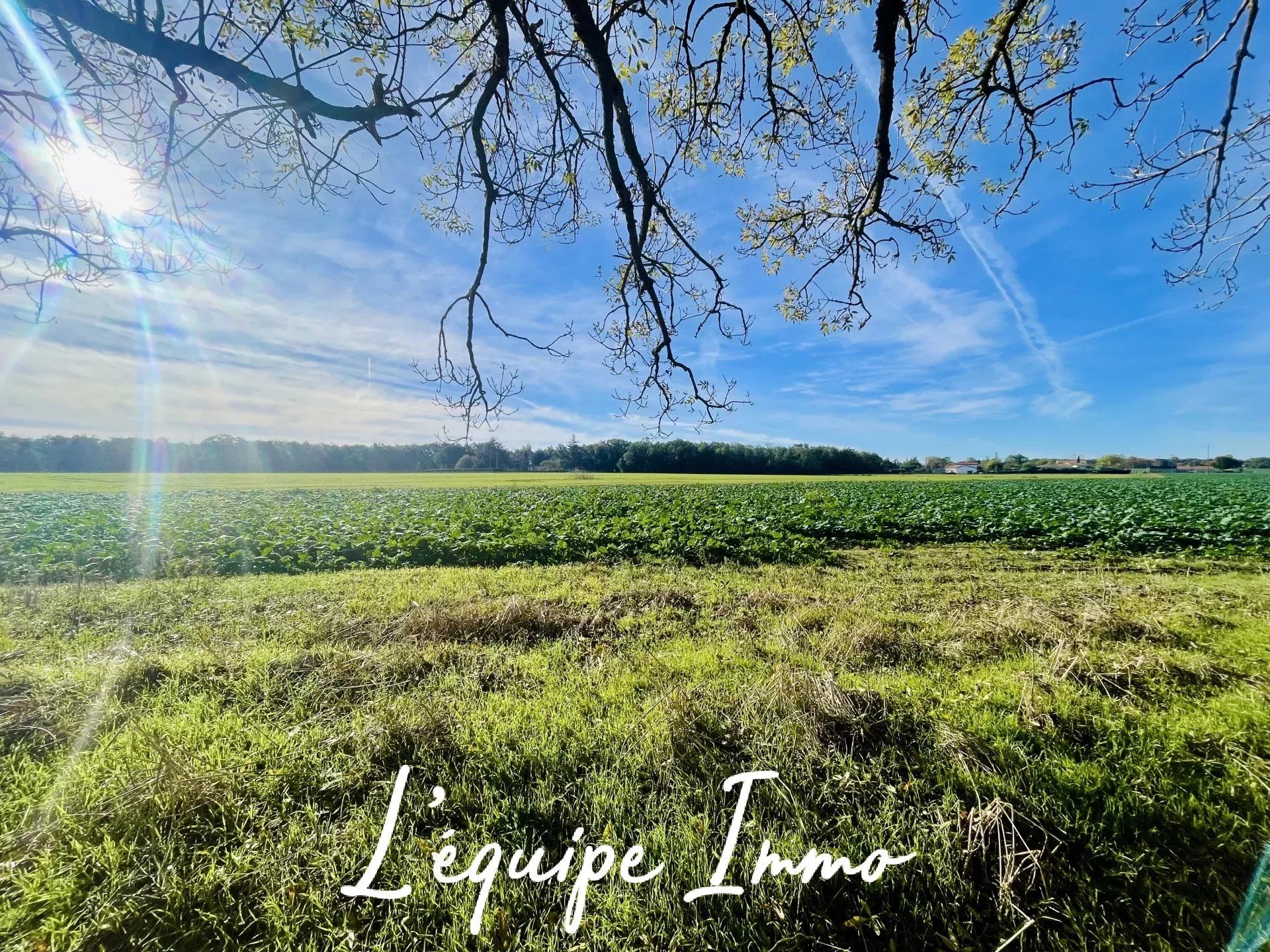 casa en Fontenilles, Haute-Garonne 12631207