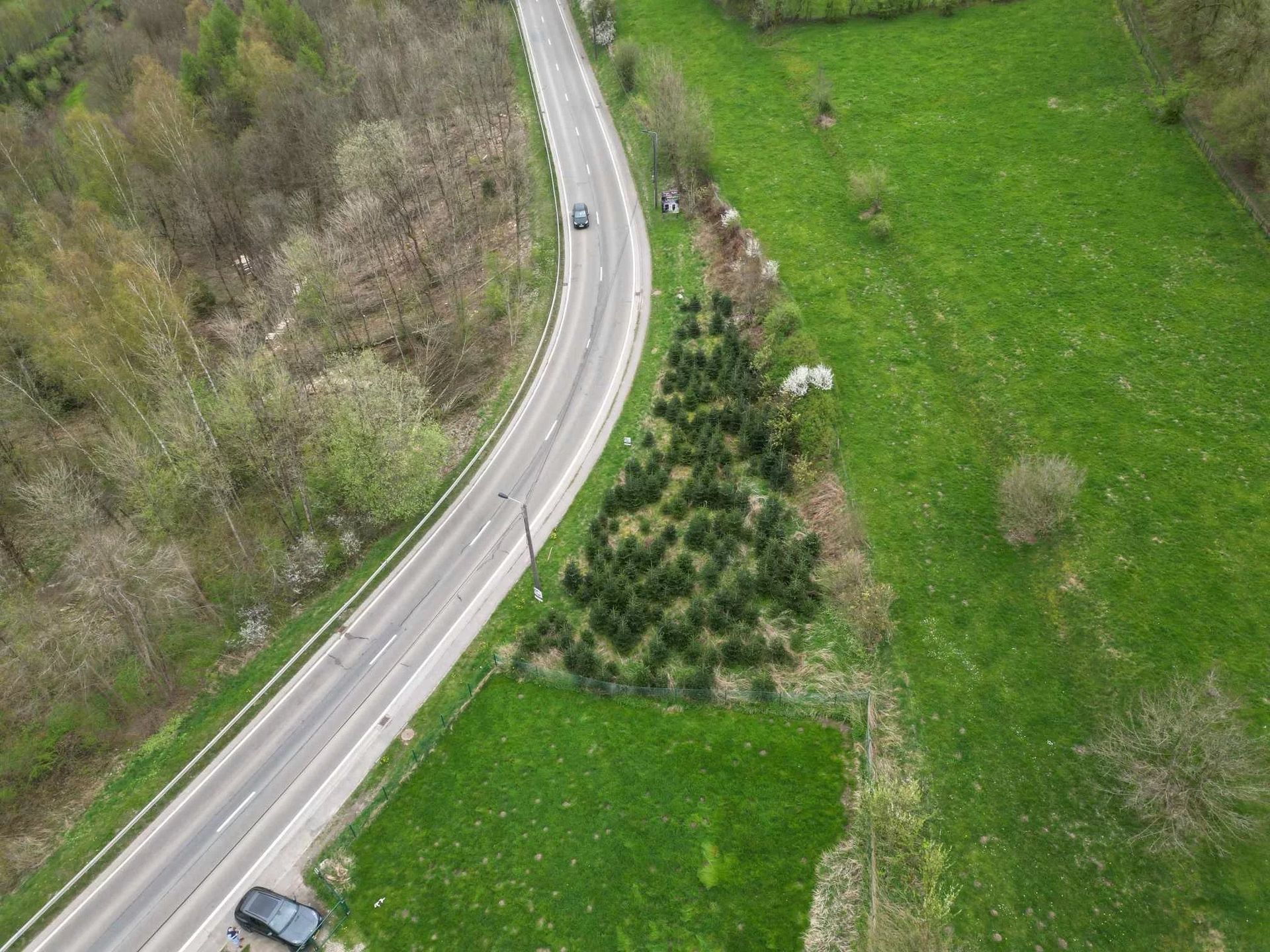 Terre dans Neufchâteau, Wallonie 12631369