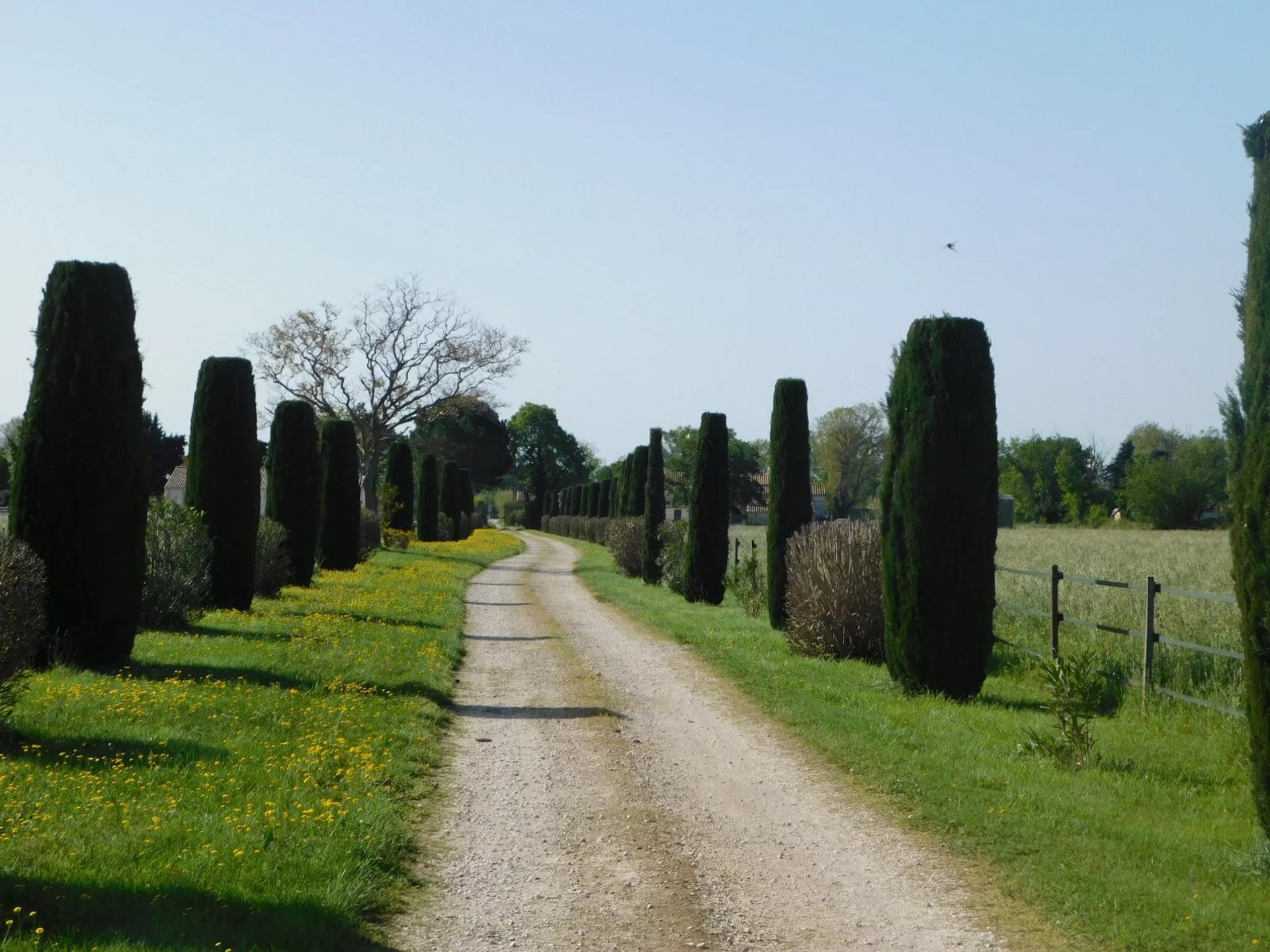 Muu sisään Arles, Bouches-du-Rhône 12631871