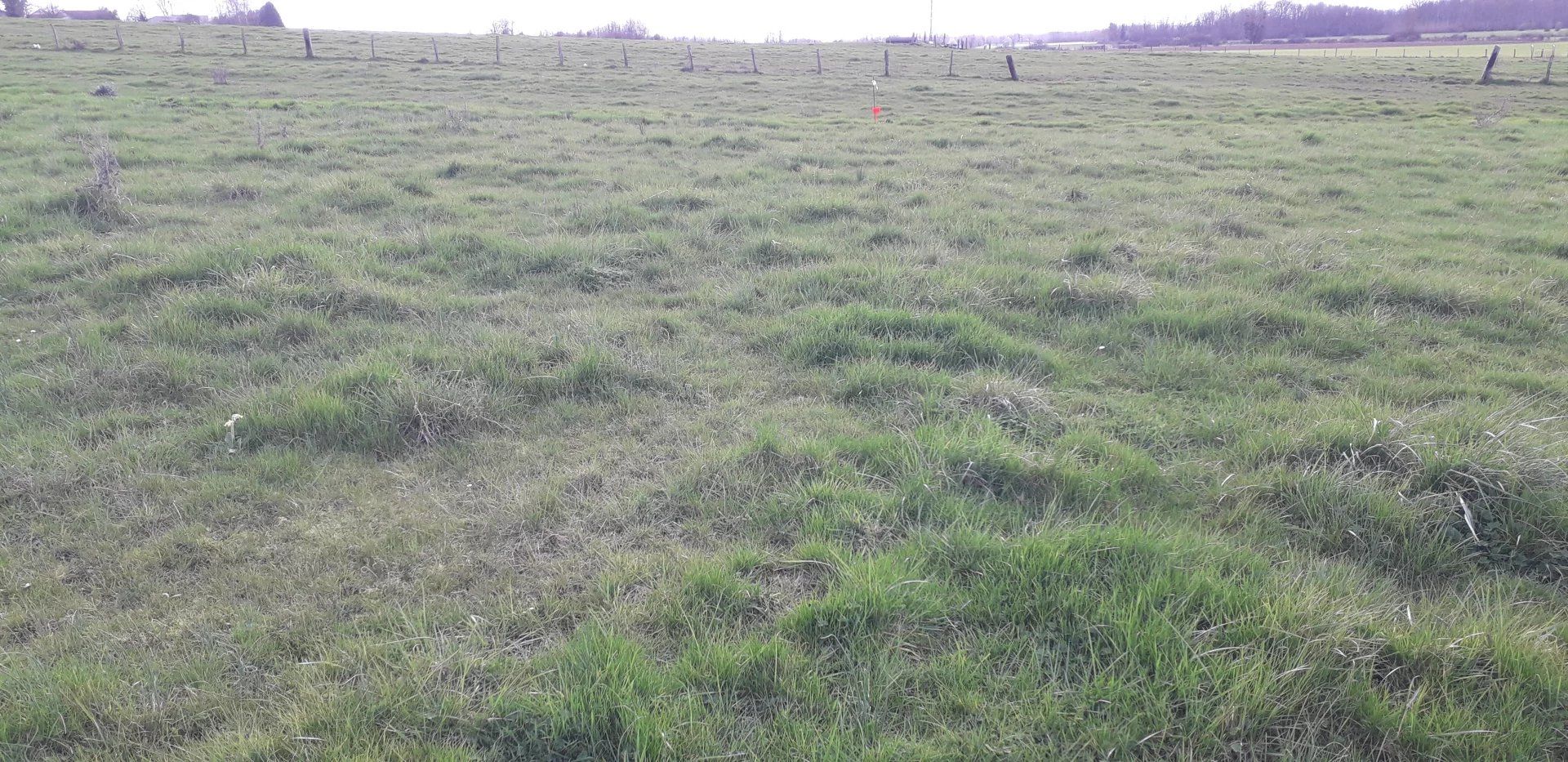 Land in Villers-le-Sec, Marne 12632566