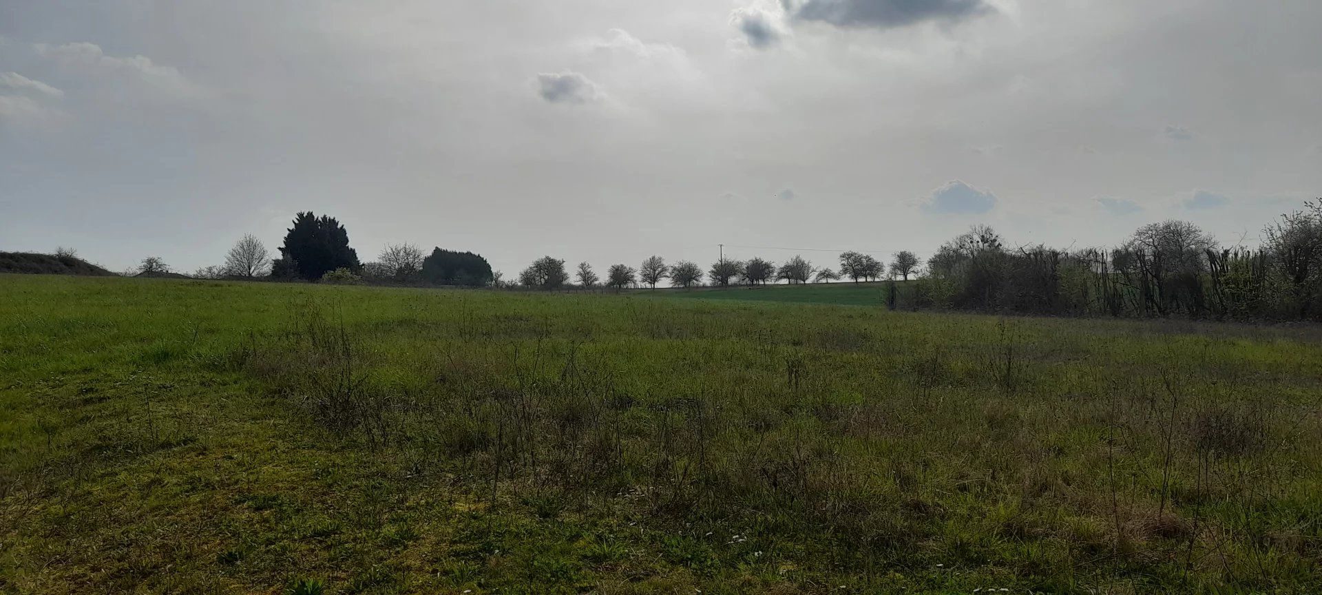 Land i Brillon-en-Barrois, Grand Est 12632583