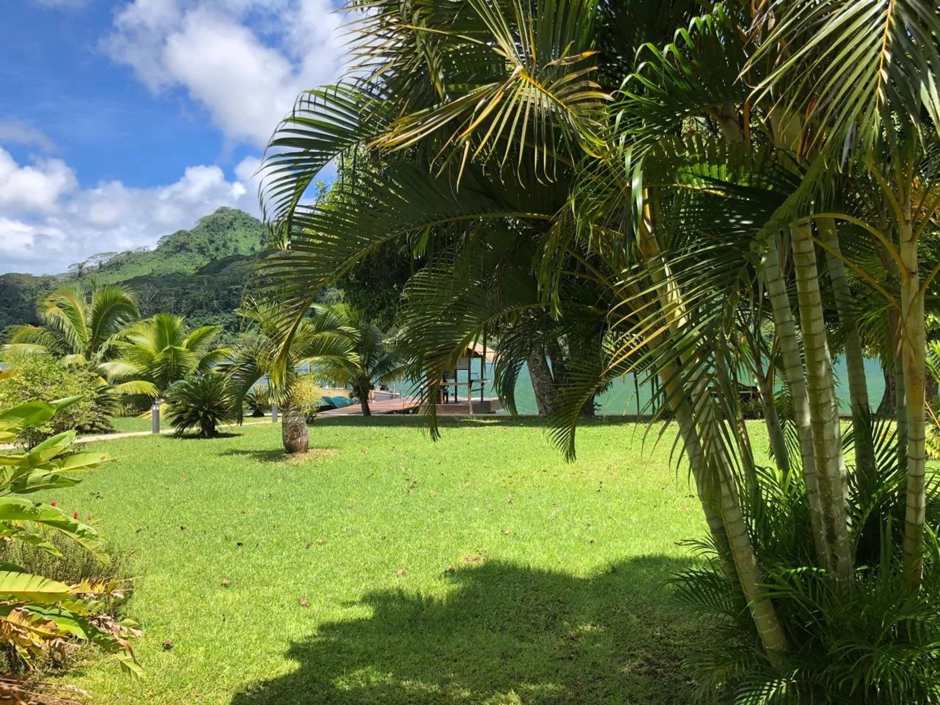 House in Uturoa, Îles Sous-le-Vent 12633284