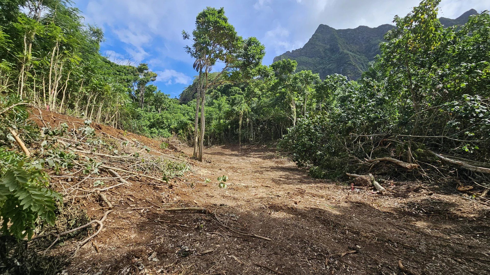 ארץ ב Moorea-Maiao, Îles du Vent 12633312