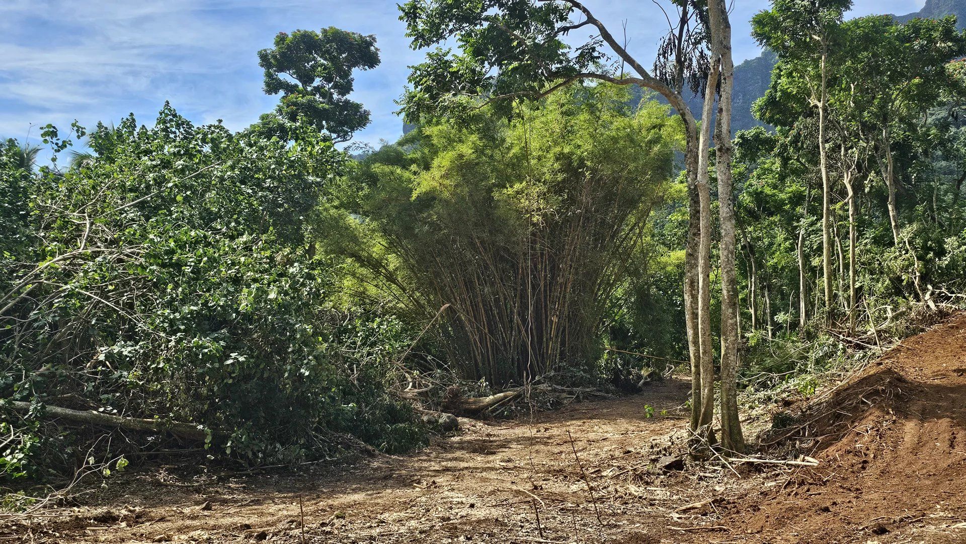 ארץ ב Moorea-Maiao, Îles du Vent 12633312