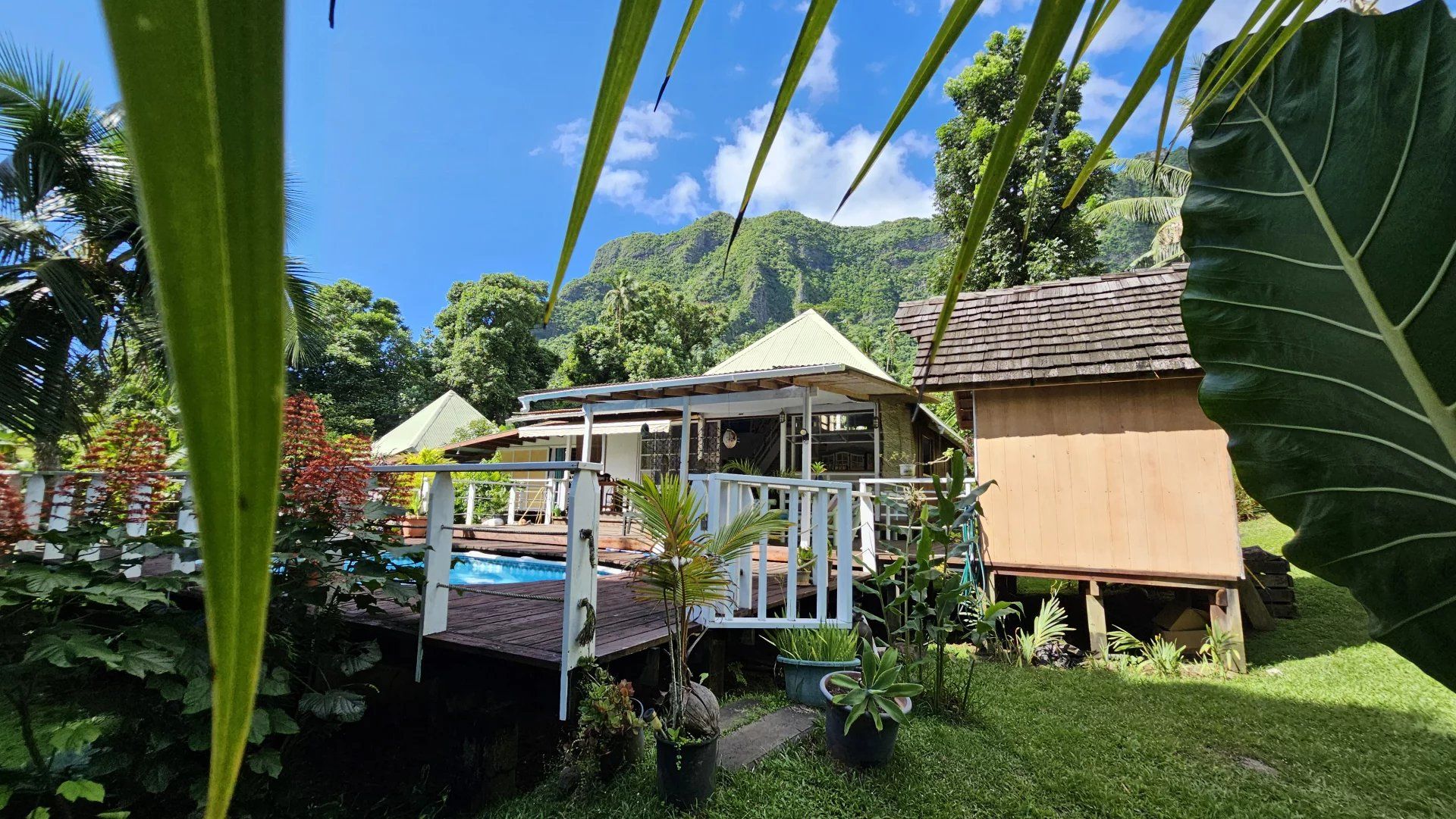 Hus i Moorea-Maiao, Îles du Vent 12633321