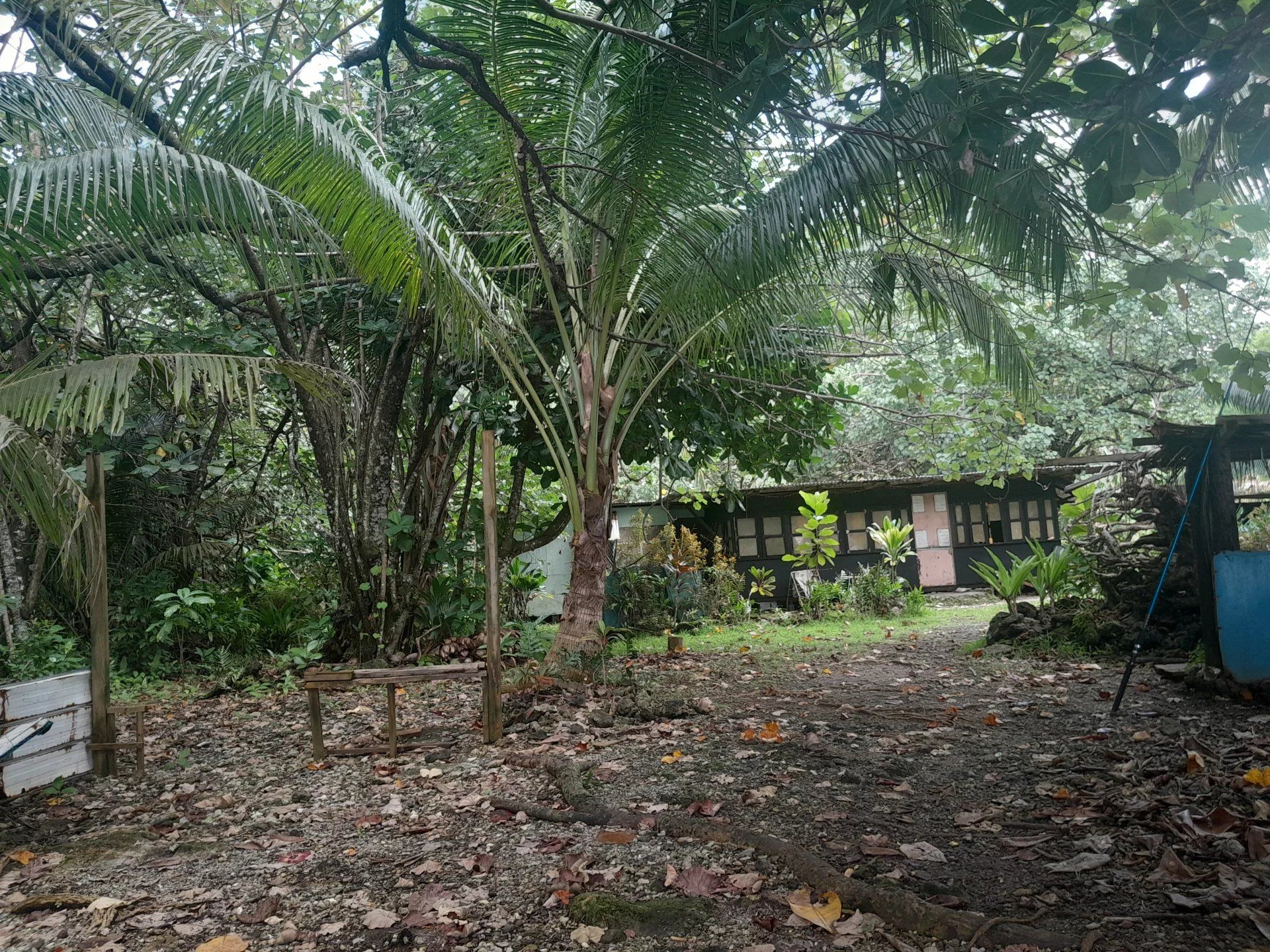 Land in Faaone, Îles du Vent 12633469